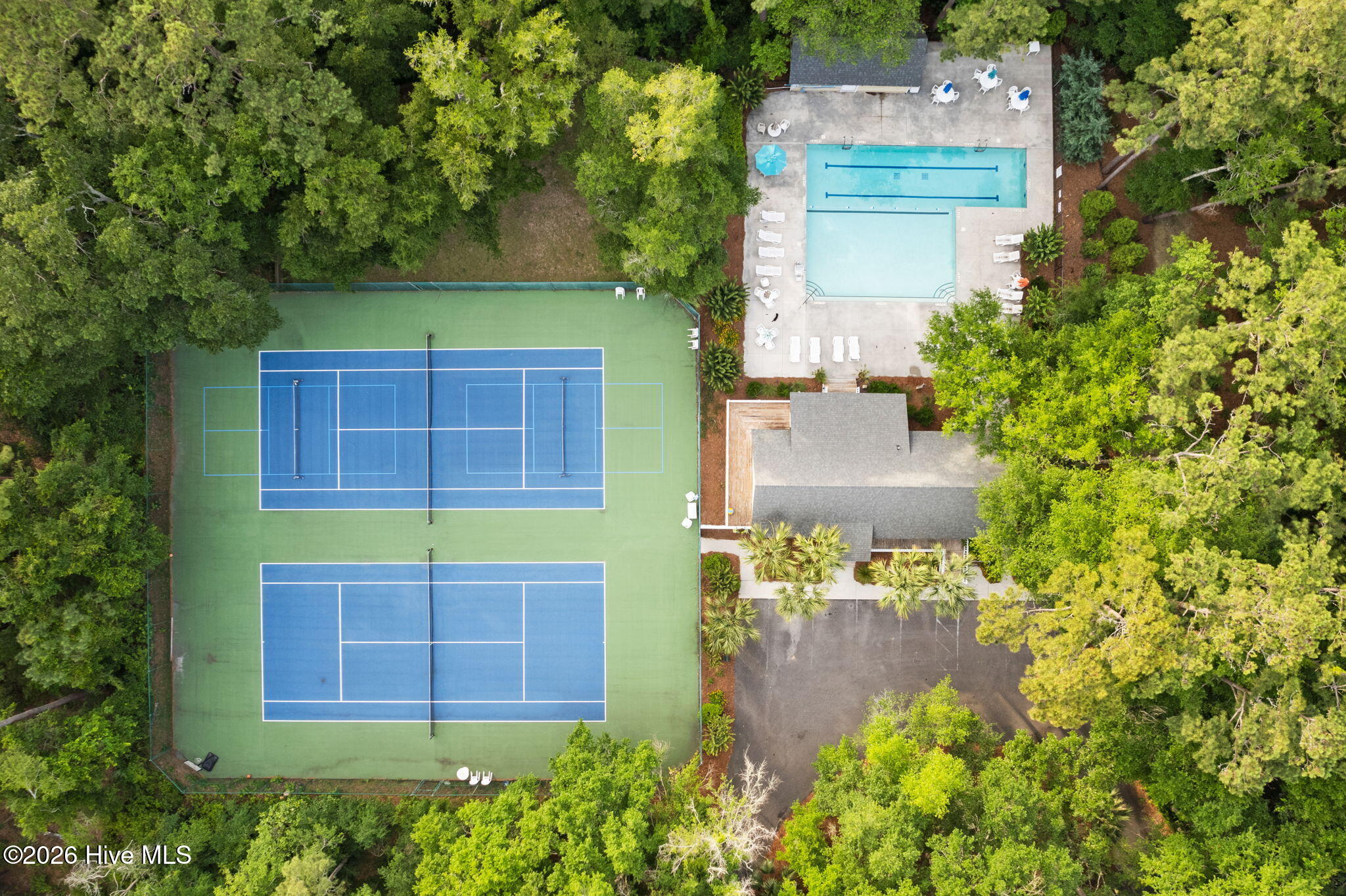 100564993 | Photo 55