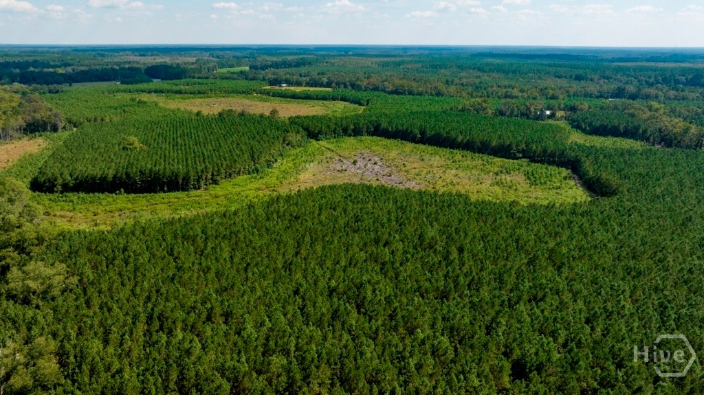 70 Peregrine Court, Surf City, NC, 28445