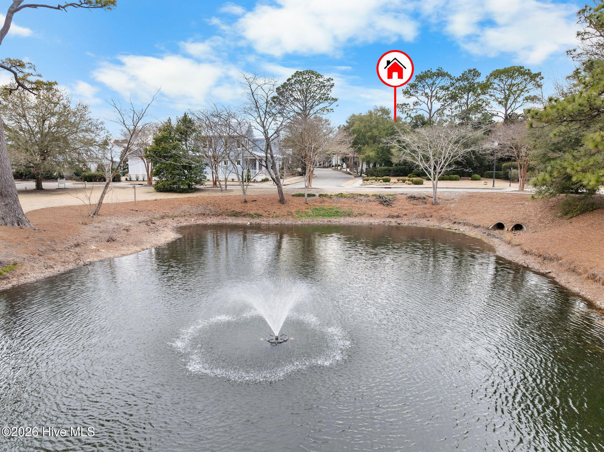 100553604 | Photo 83