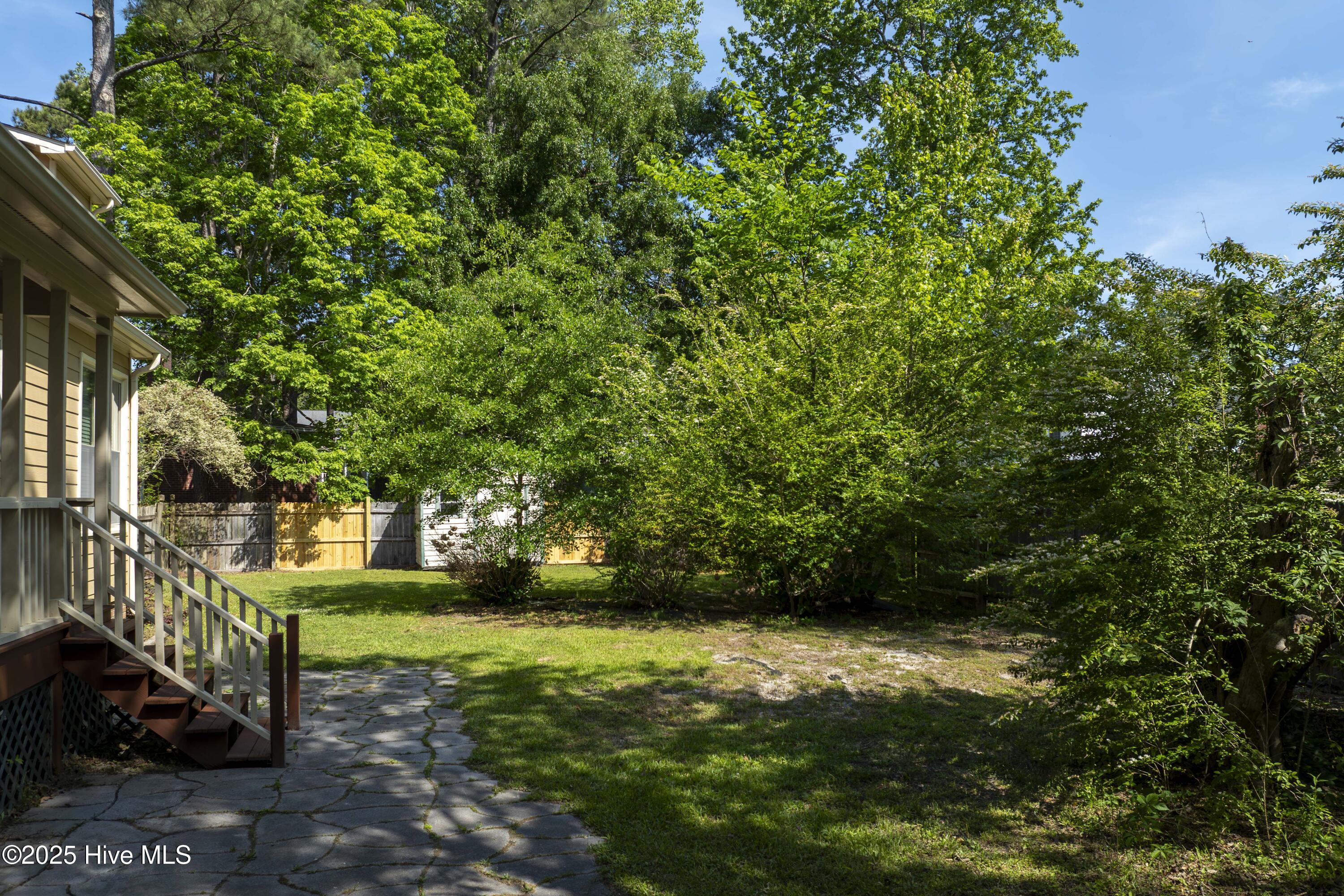 100554842 | Photo 35