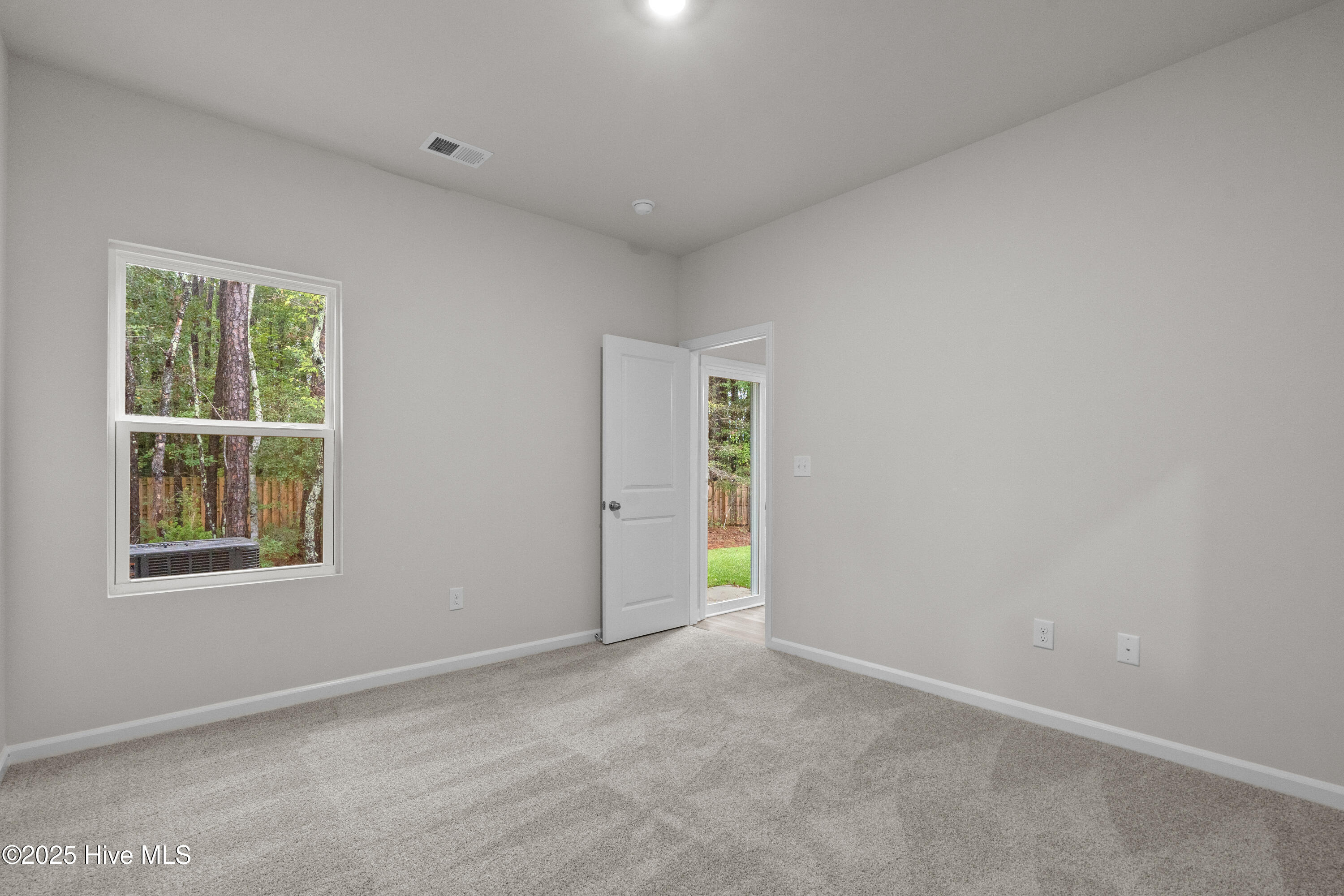 100514545 | Photo 15