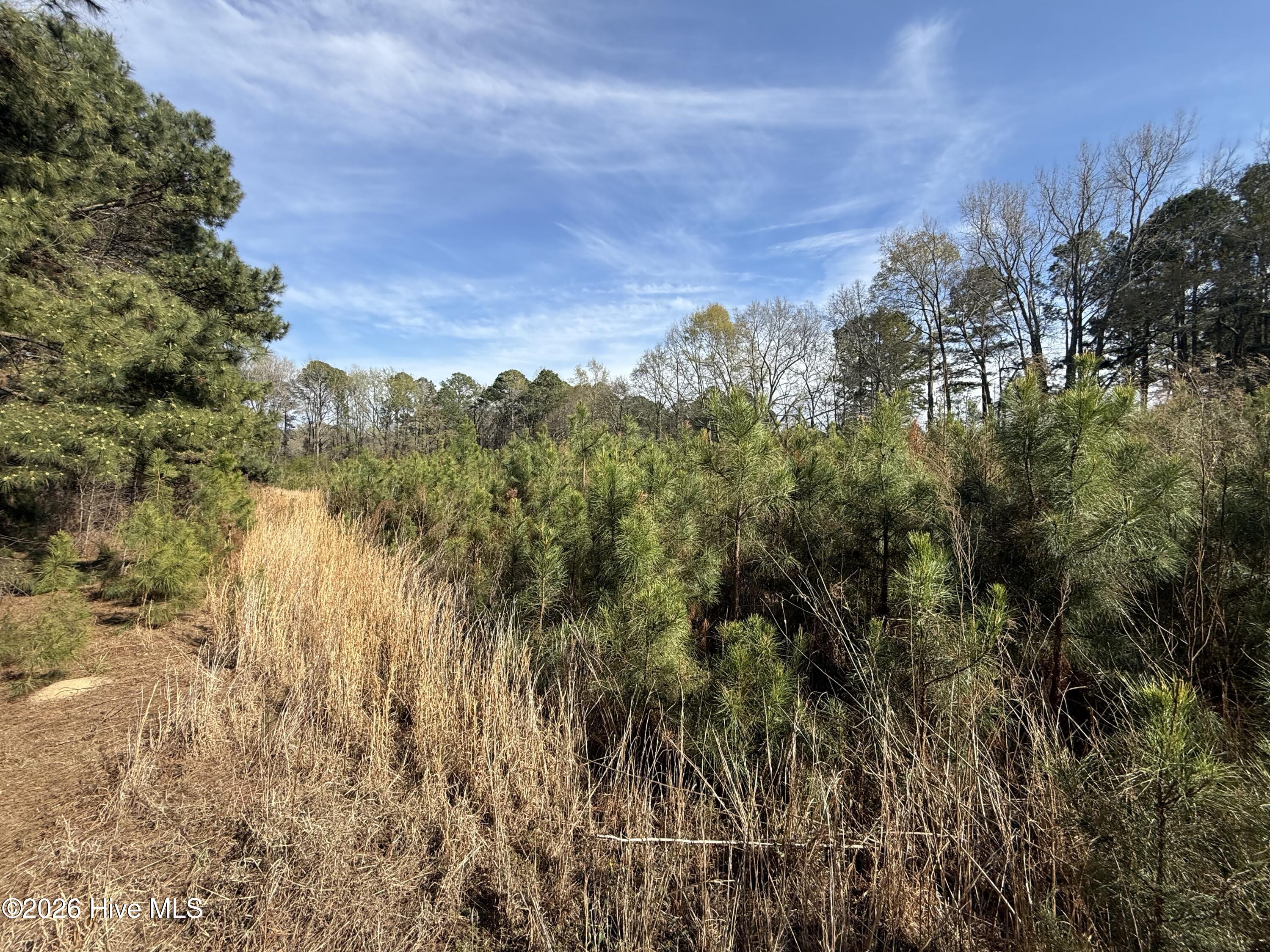 Homes for sale in Coats, NC | 0 Chic Ennis Rd, Coats, NC 27521 | MLS# 100561887