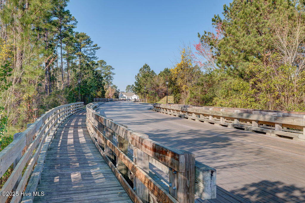 100539935 | Photo 50