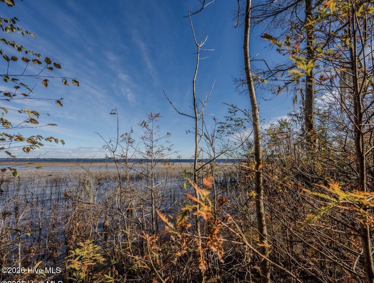 100560366 | Photo 10