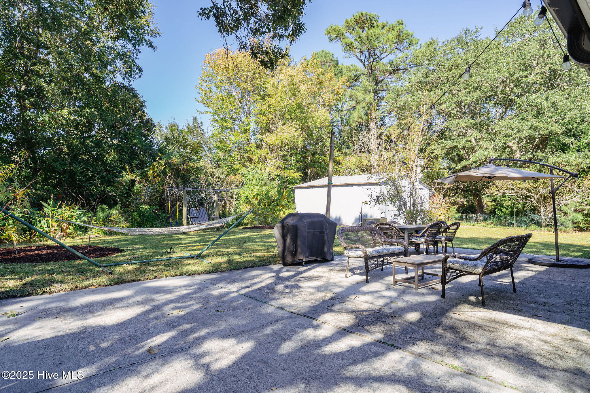 100538264 | Photo 11