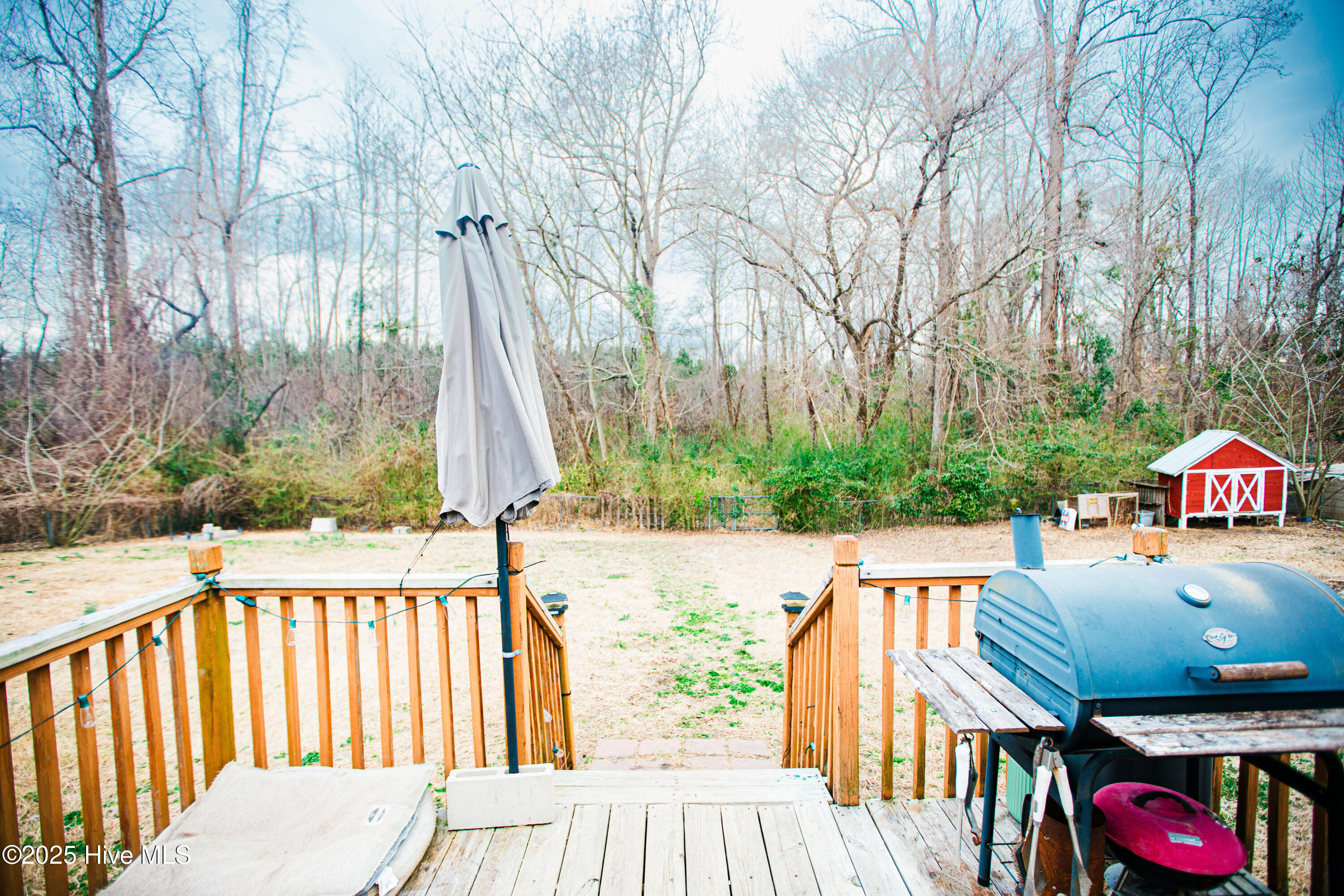 100493503 | Photo 21