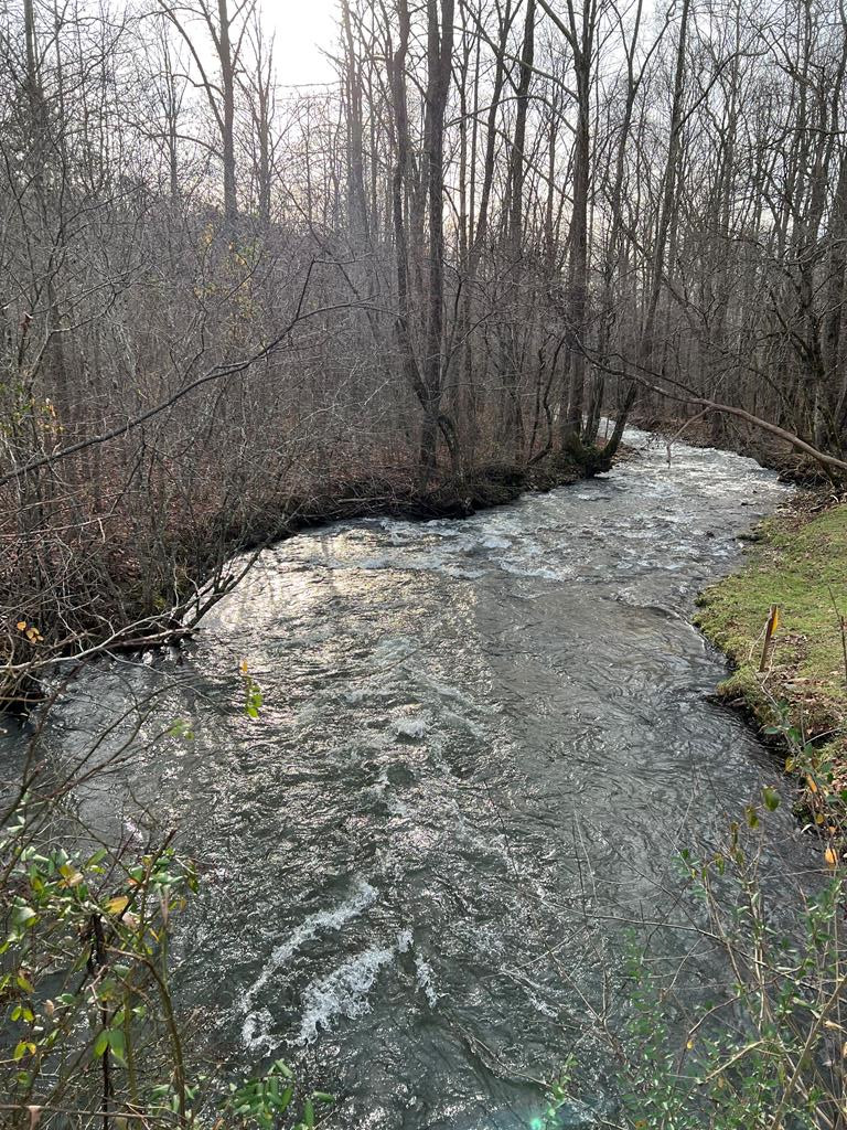 Lots 9, 10, 11, 15 & 17 Mary, Hayesville, North Carolina, 0 ,For sale,9, 10, 11, 15 & 17 Mary,98543671 Lots 9, 10, 11, 15 & 17 Mary, Hayesville, North Carolina, 0 ,For sale,9, 10, 11, 15 & 17 Mary,98543671