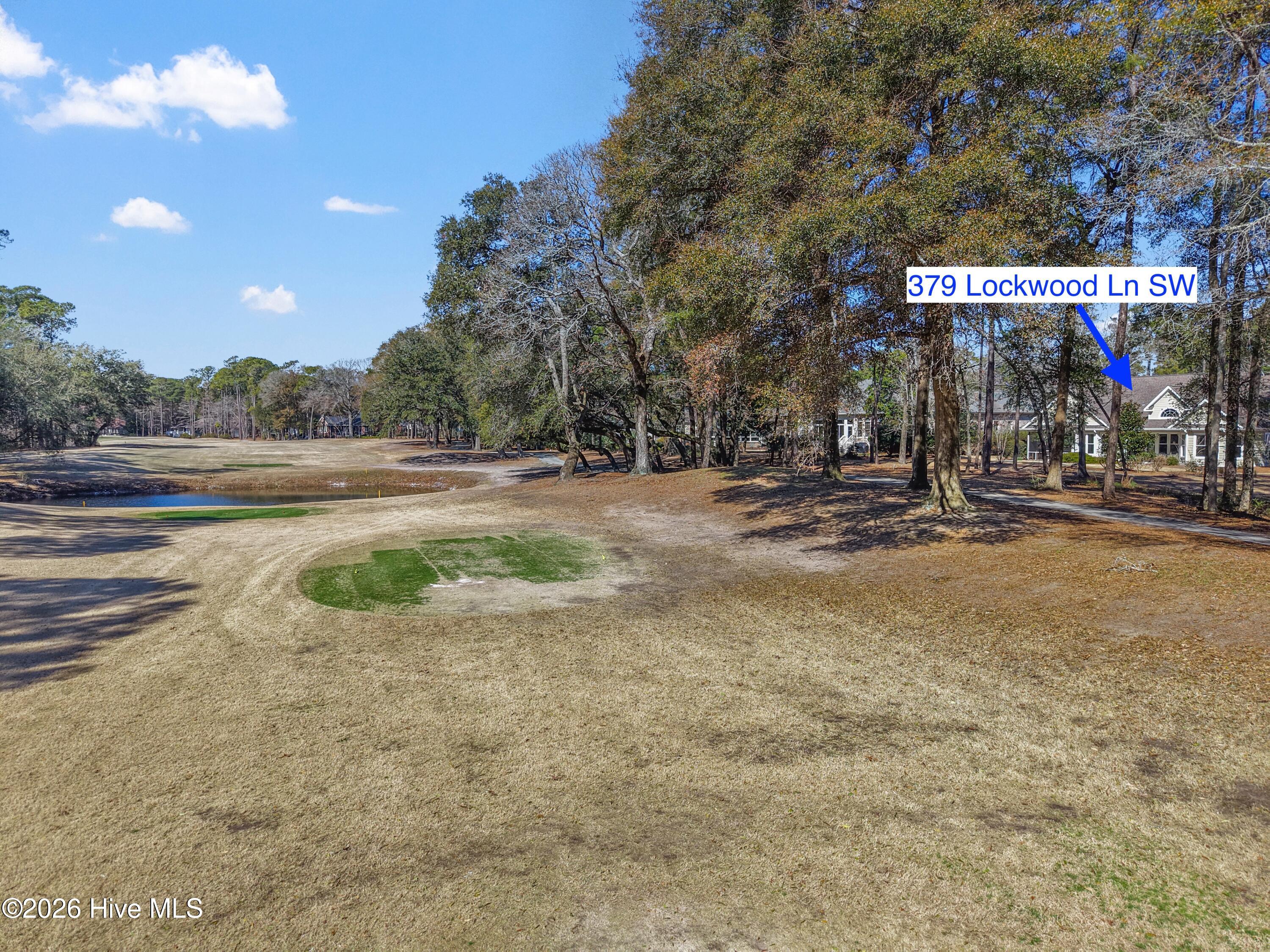 100556573 | Photo 64