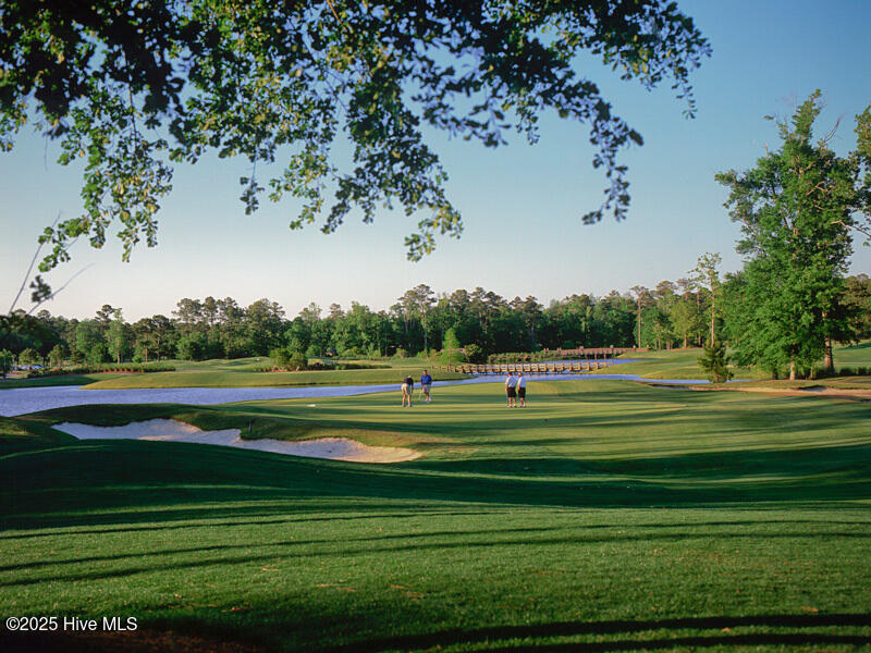 5.BigCatsGolfCourse.ORP