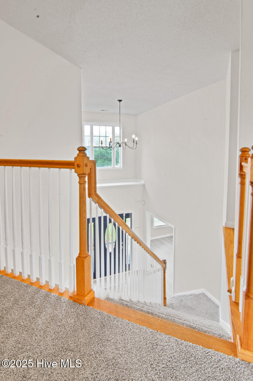 100536768 | Photo 15