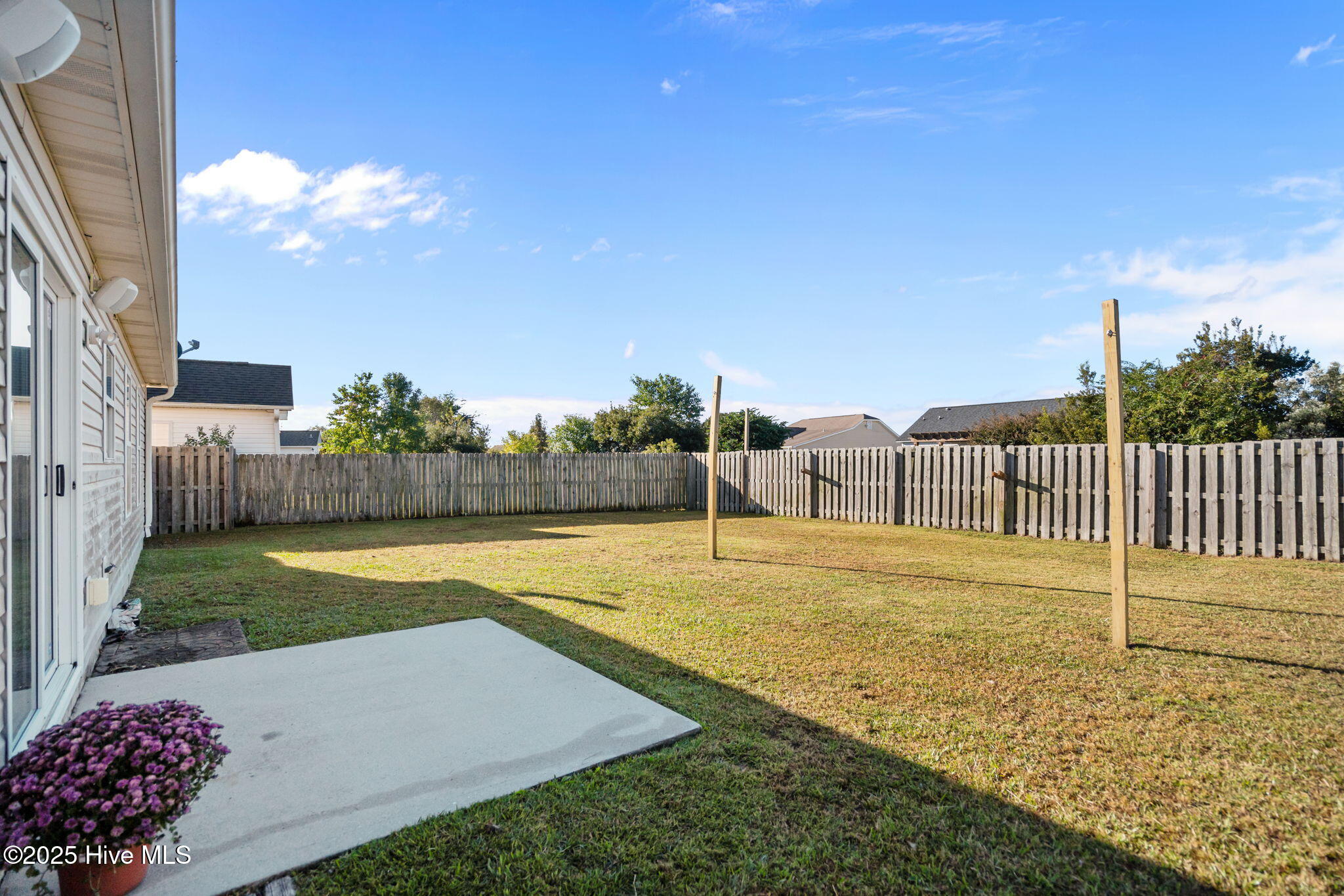 100537521 | Photo 33