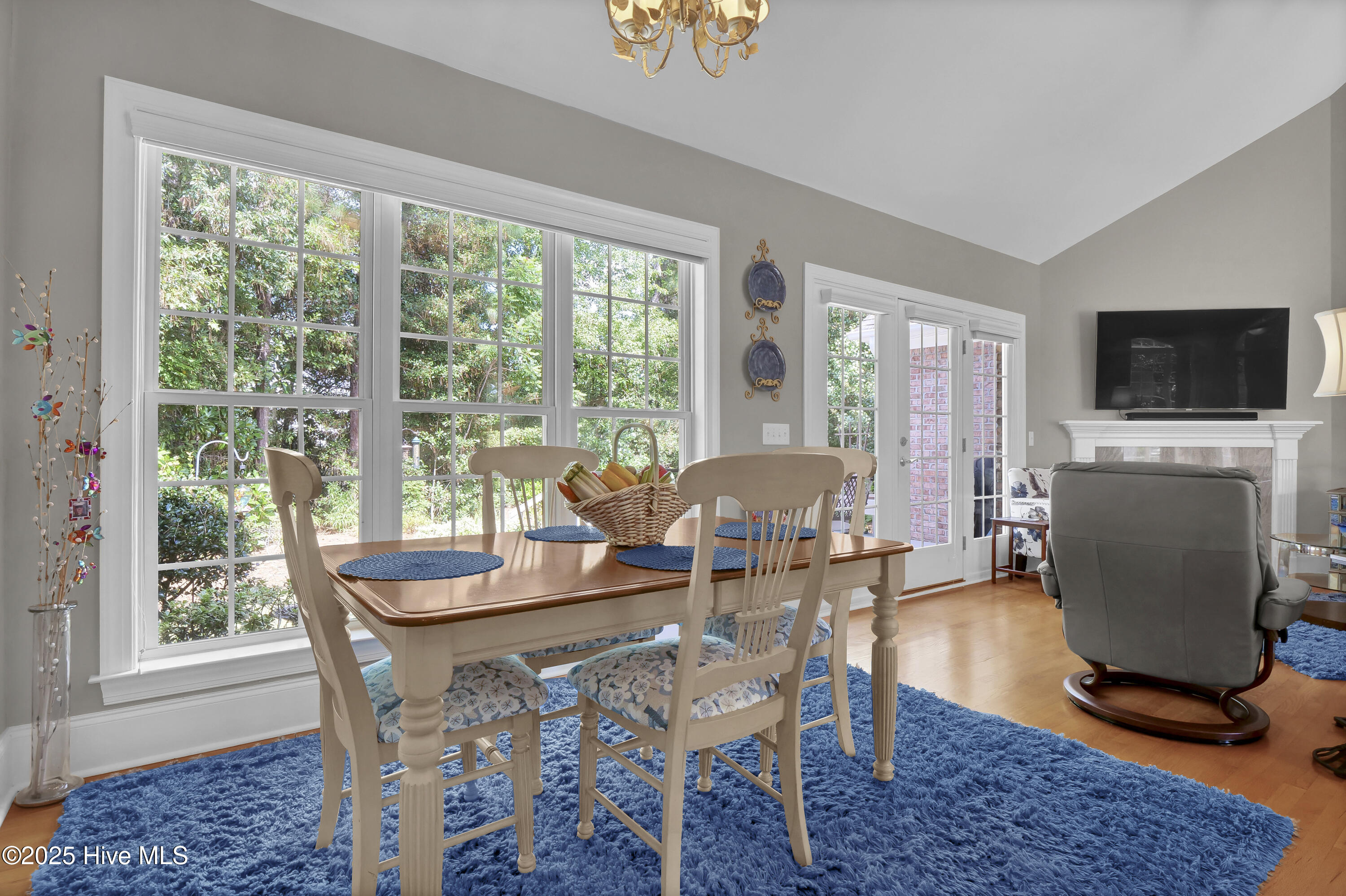 100533946 | Photo 19