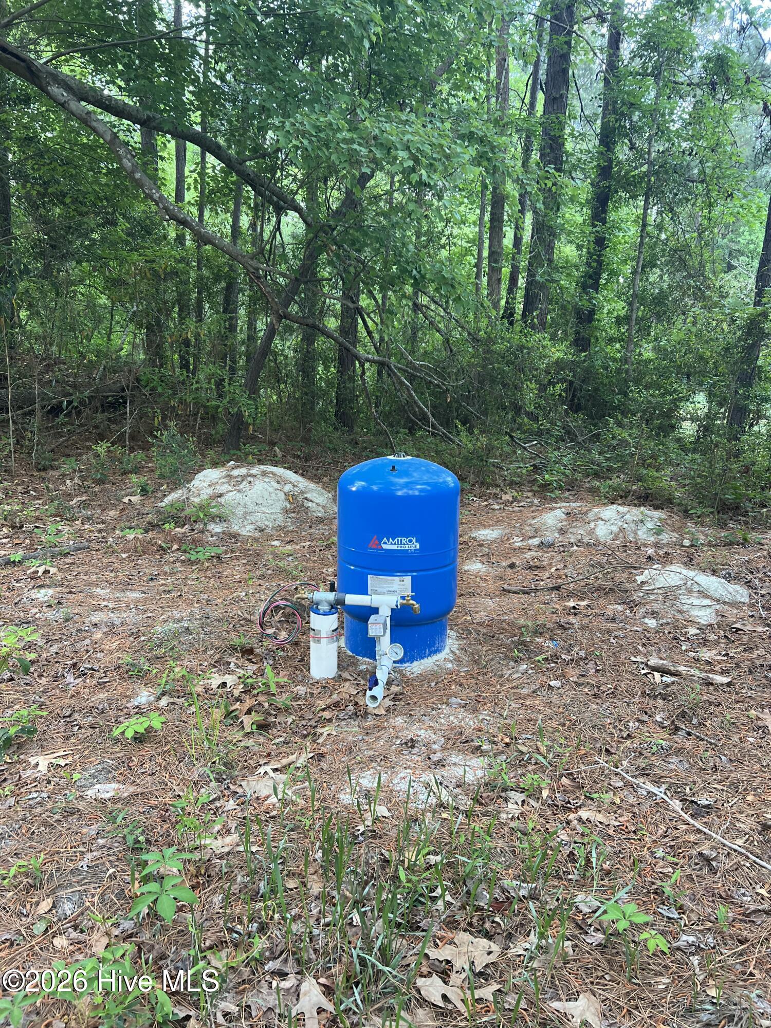 100568158 | Photo 12