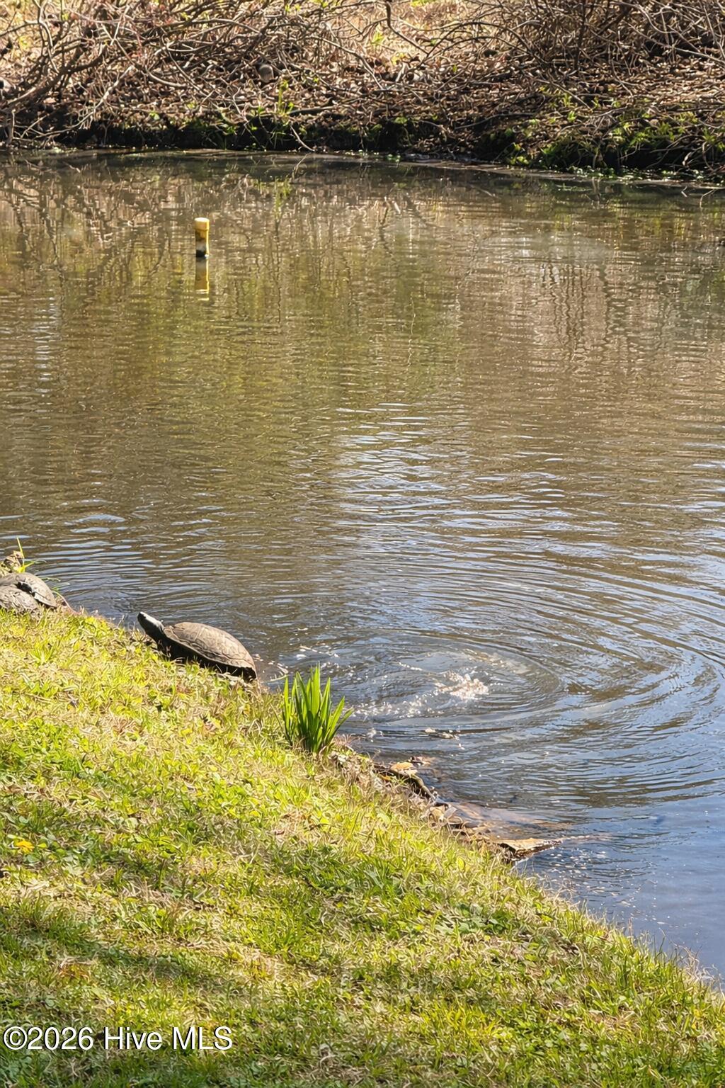 100560834 | Photo 40