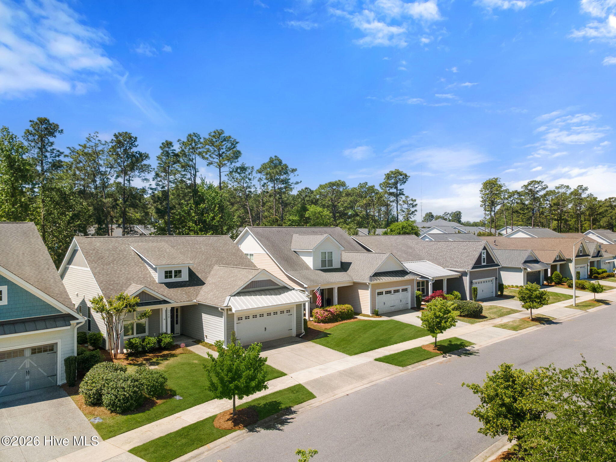 100567519 | Photo 44