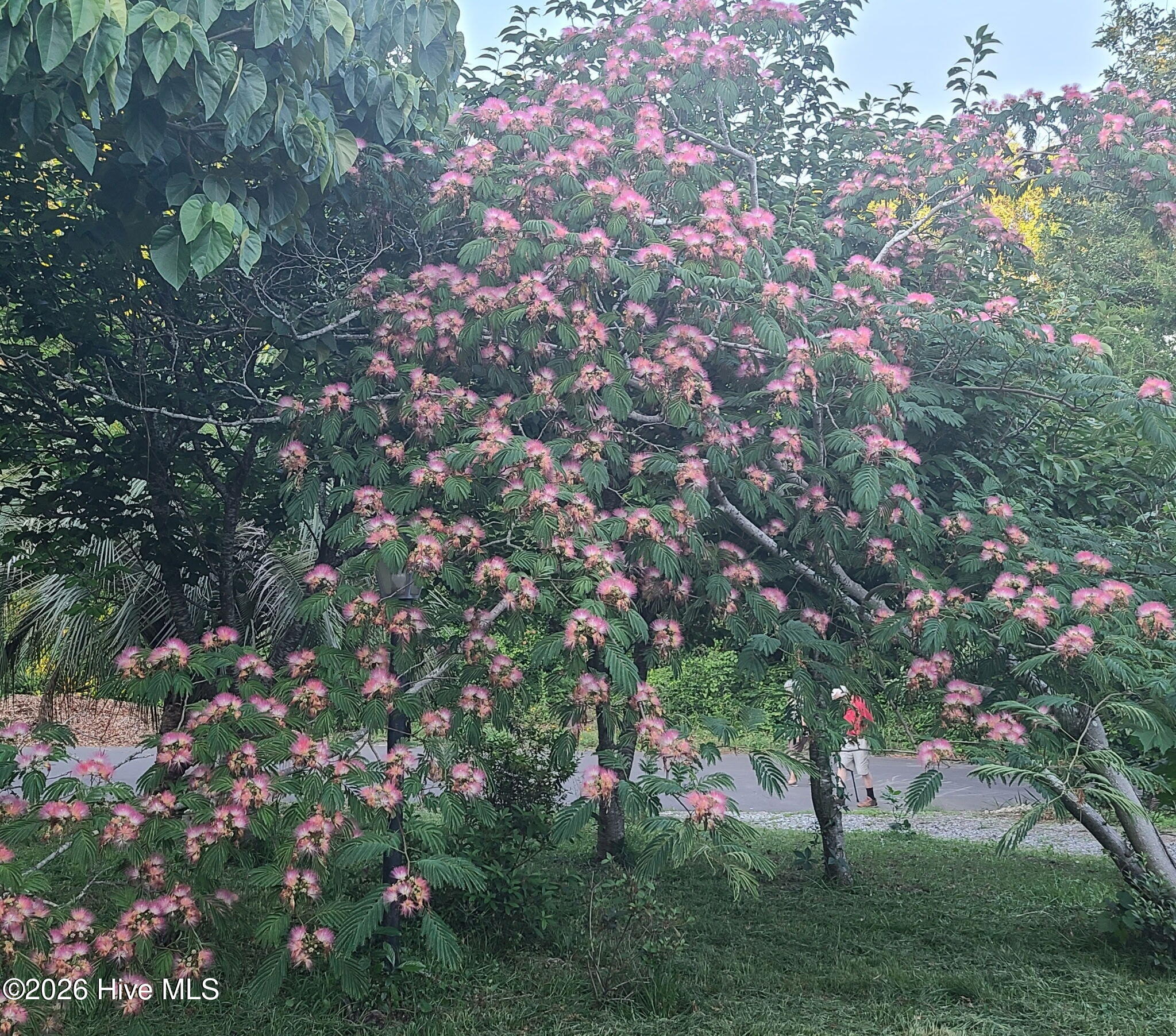 100549205 | Photo 65