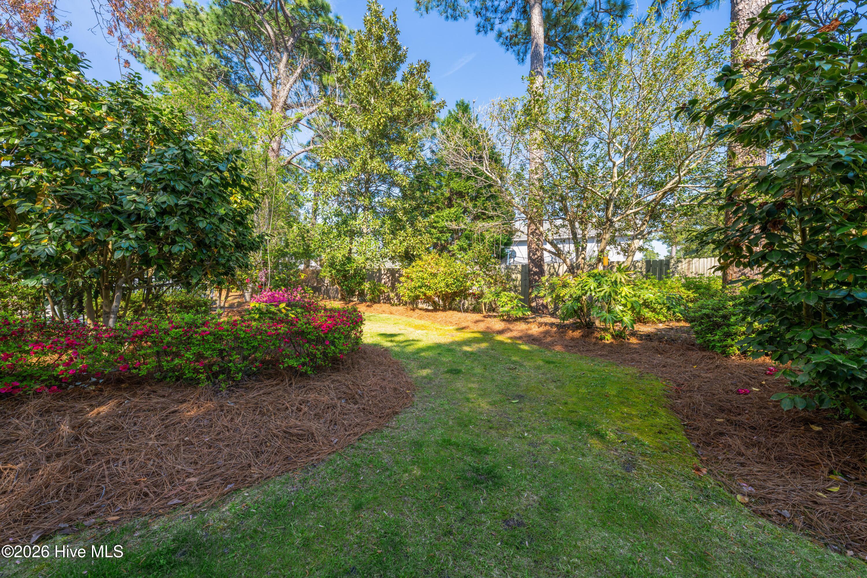 100565005 | Photo 58