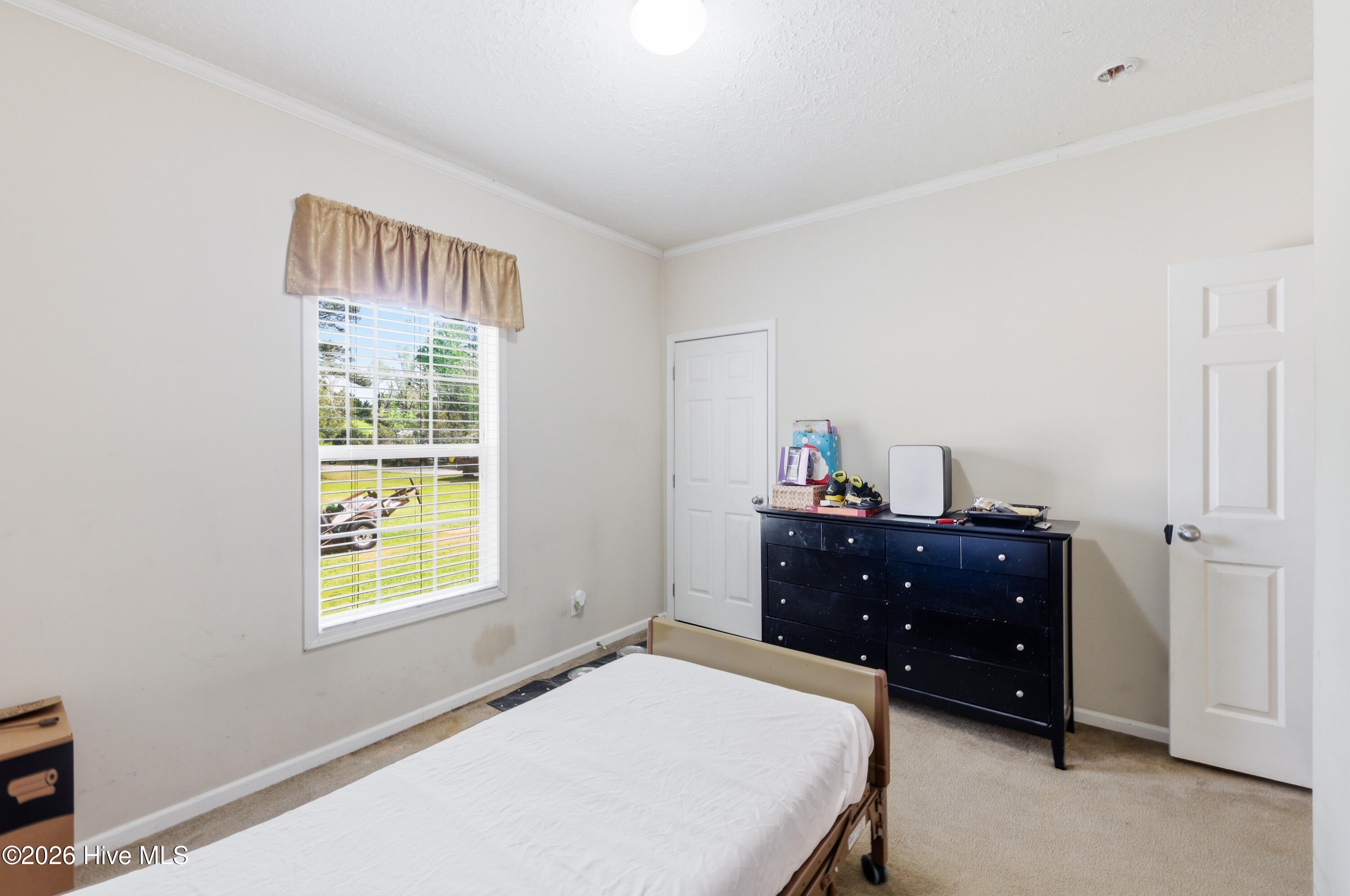 100565815 | Photo 21