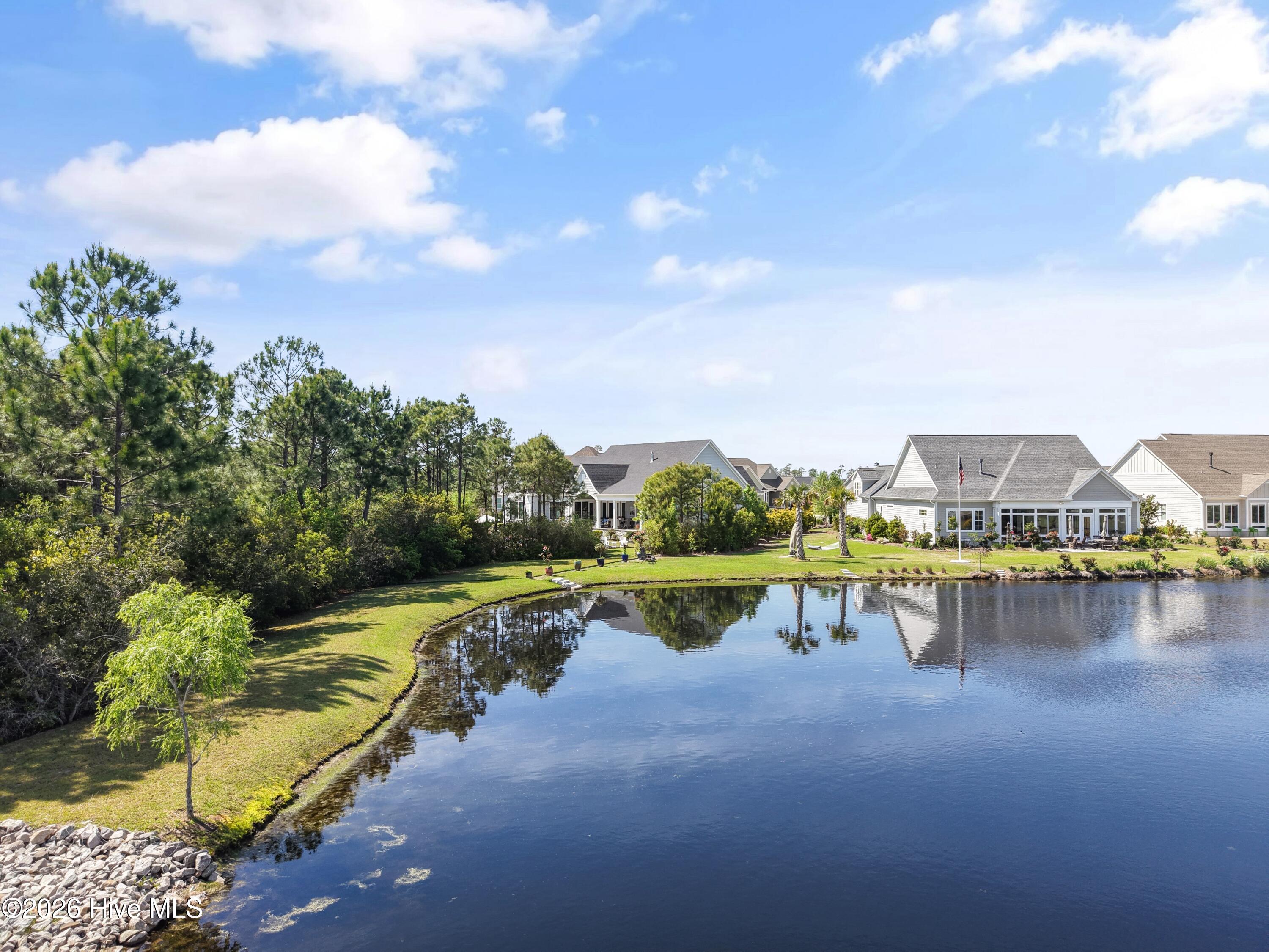 100560288 | Photo 113