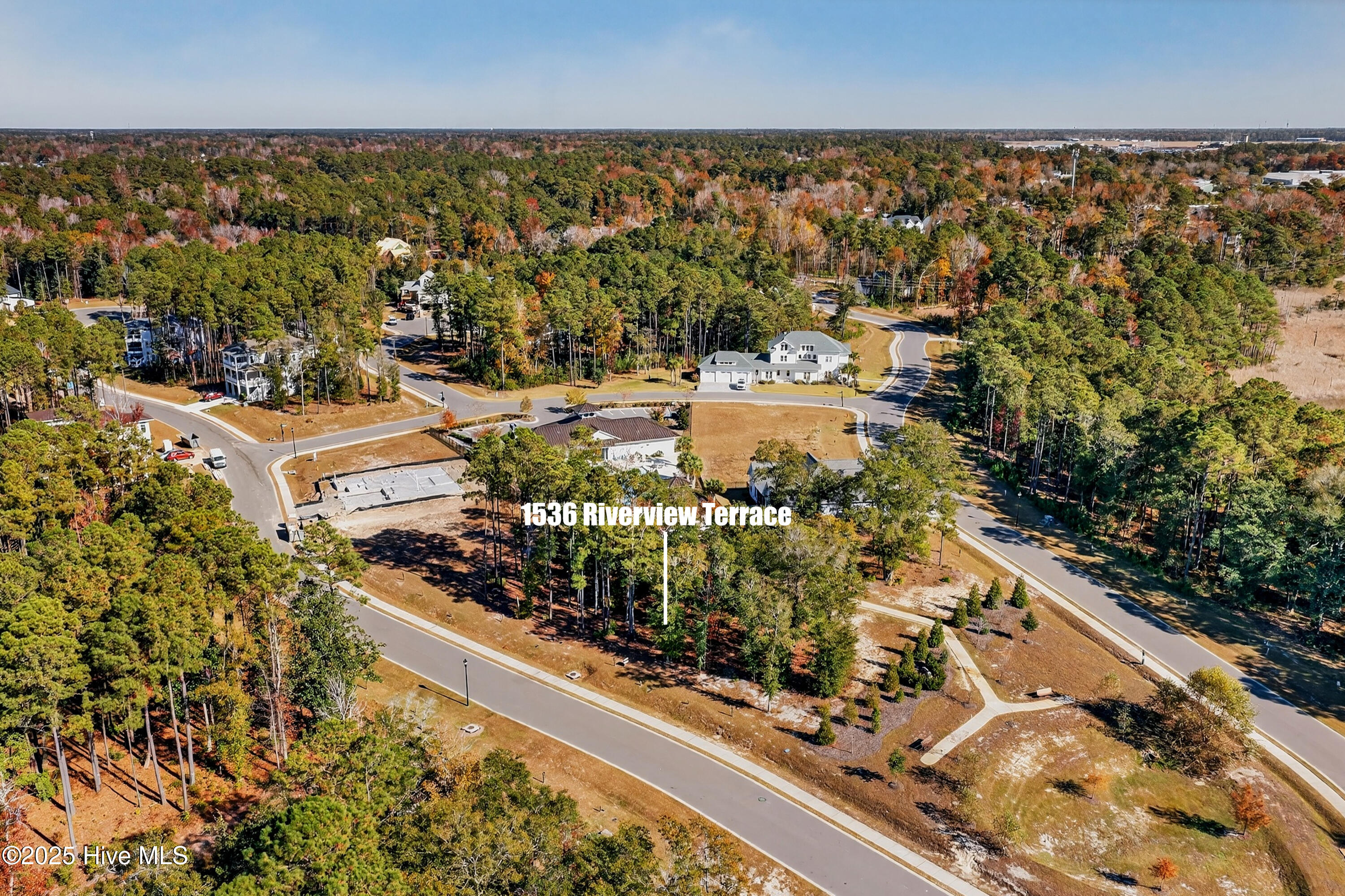 100541672 | Photo 16