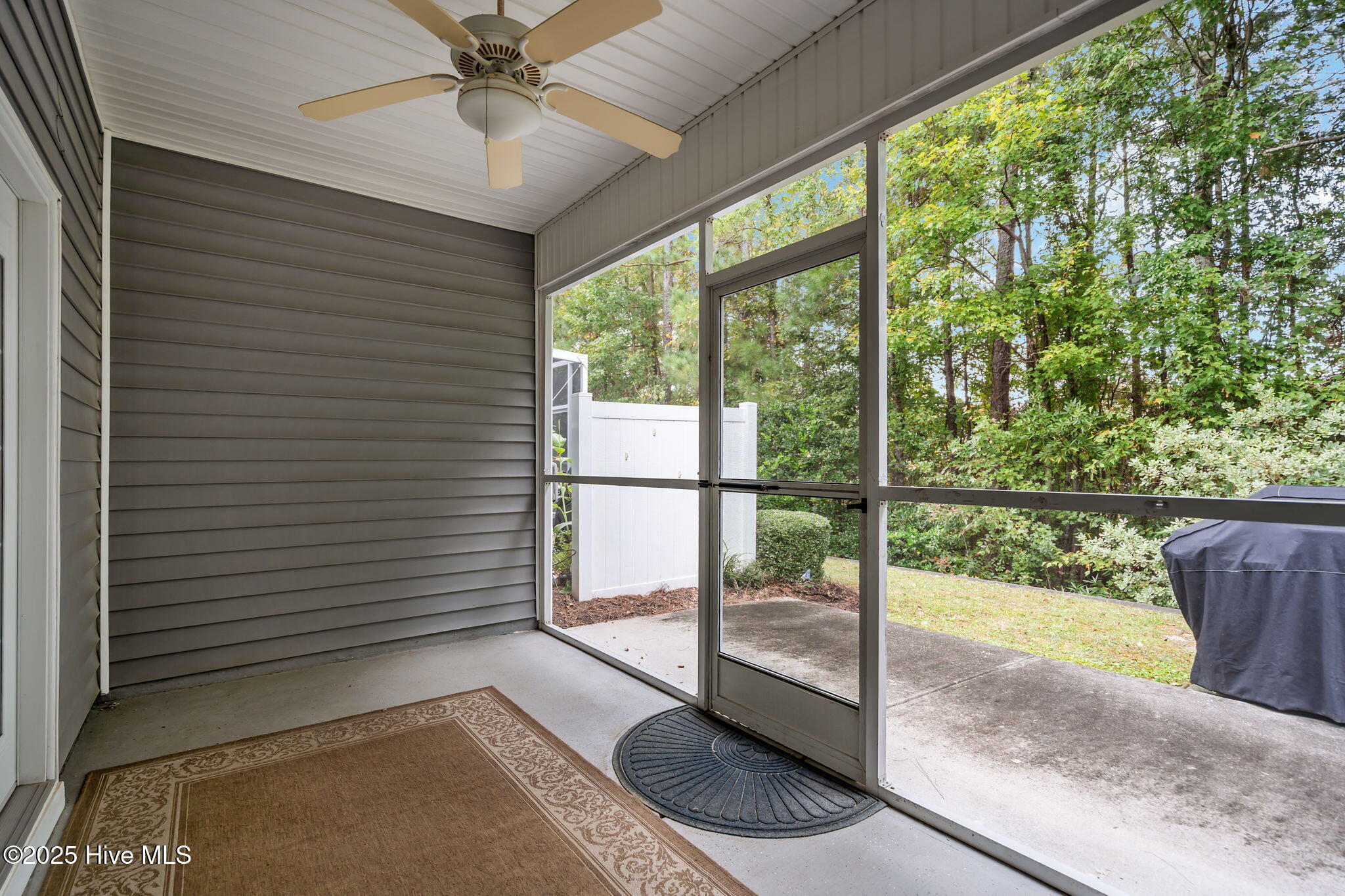 100538741 | Photo 41