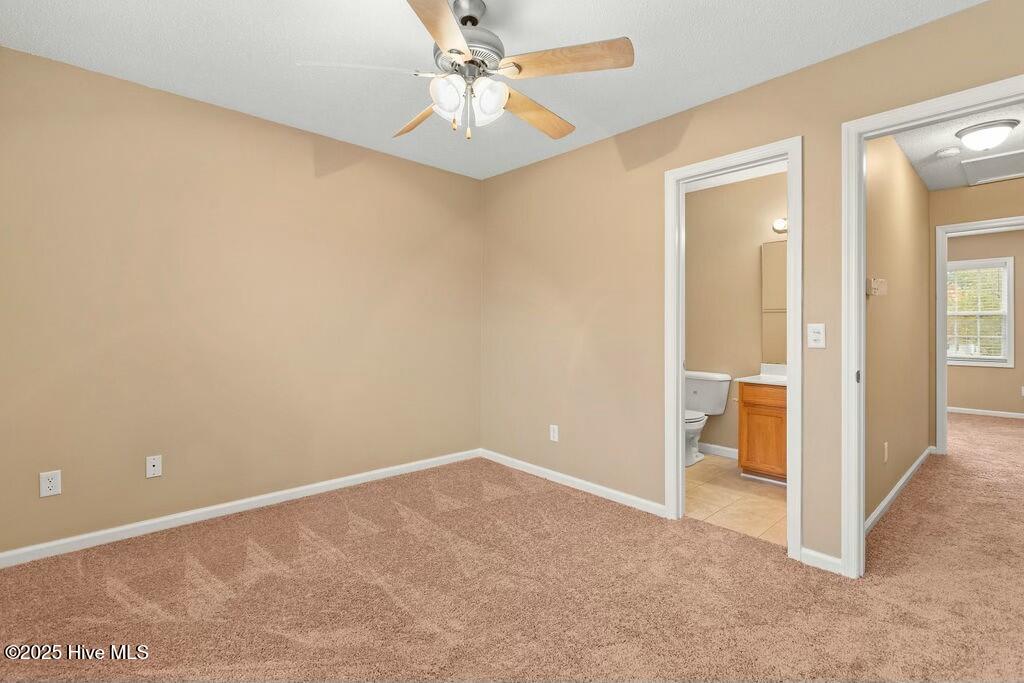 100548845 | Photo 10