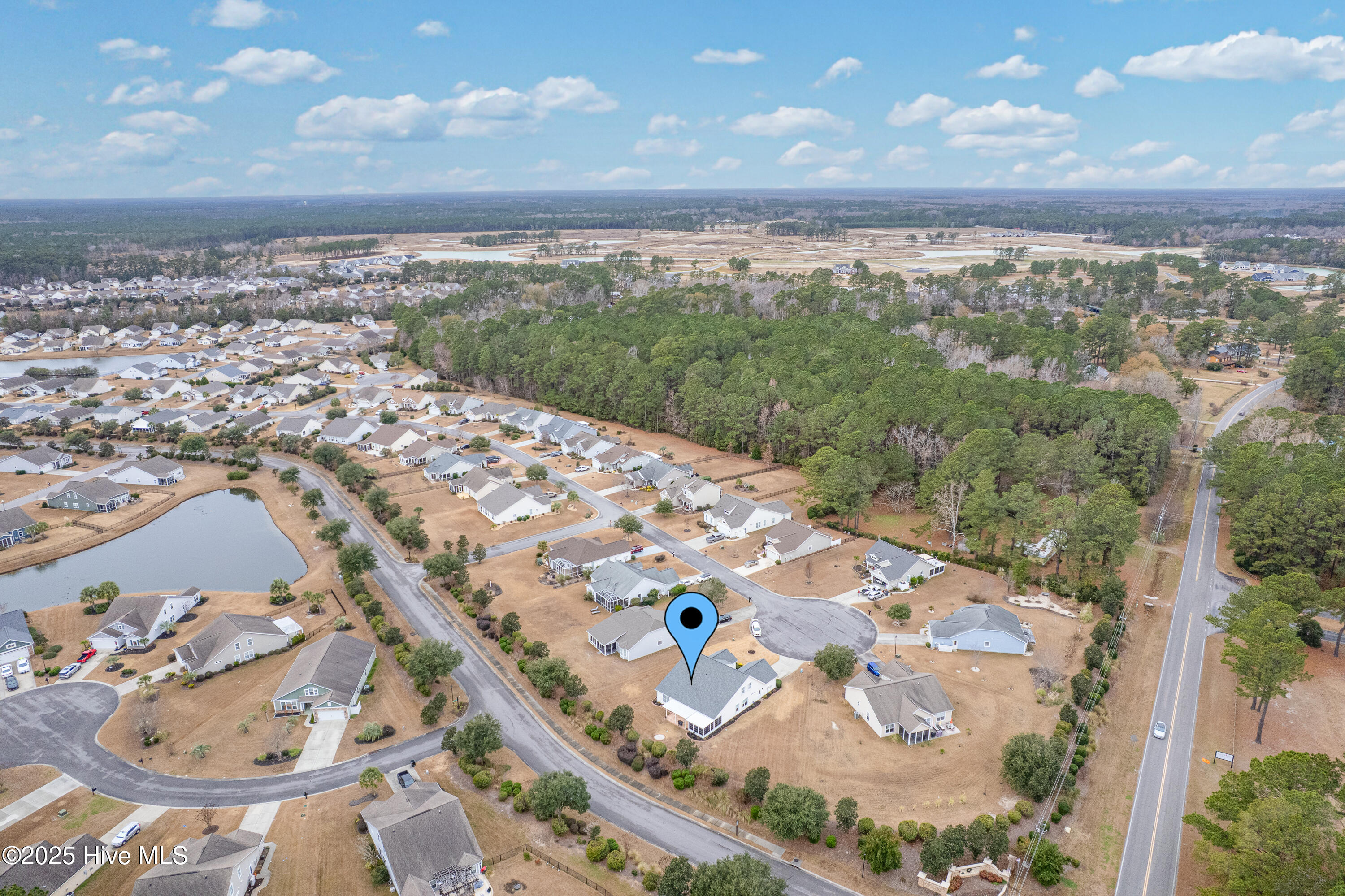 100547221 | Photo 44