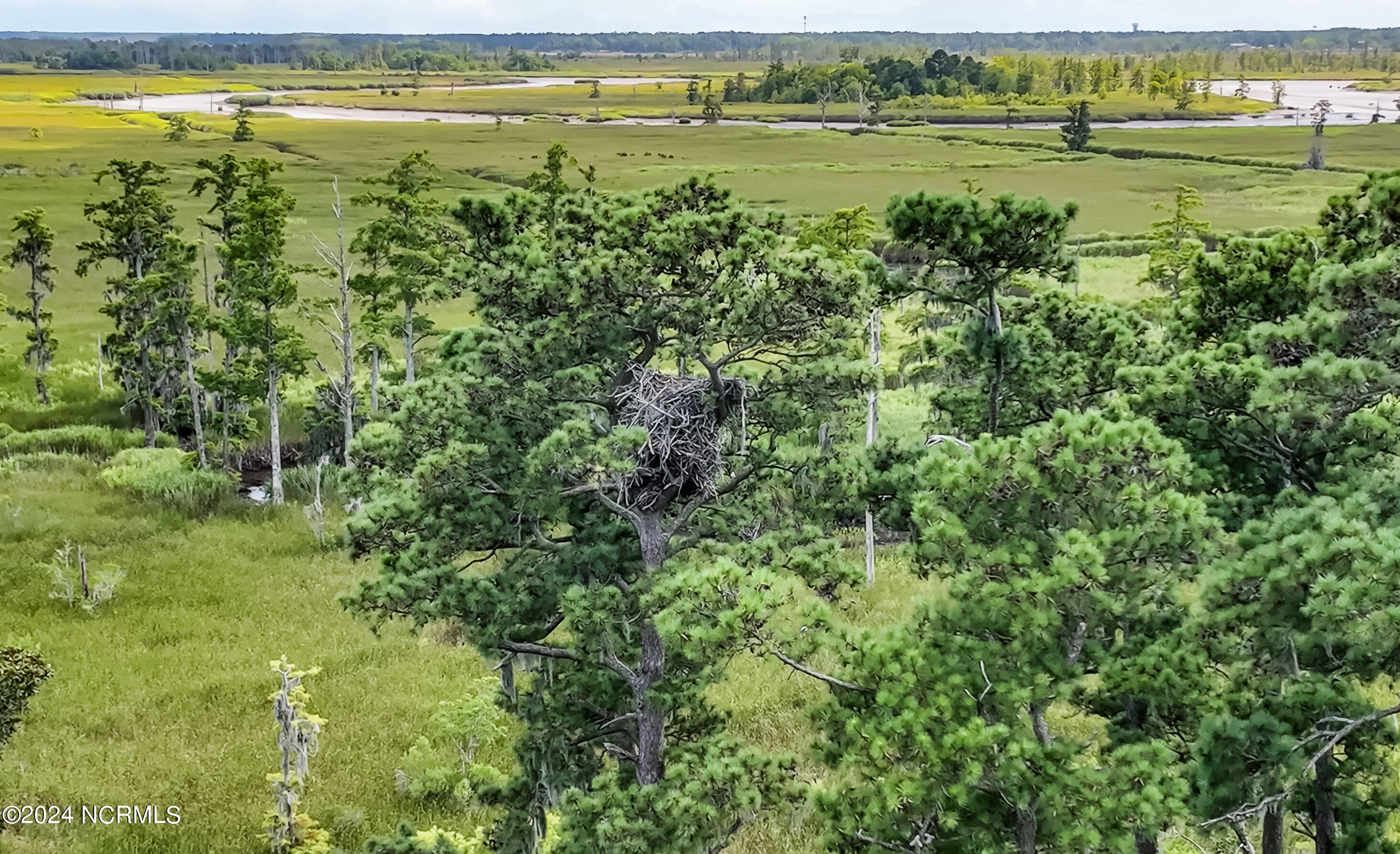 100497530 | Photo 74