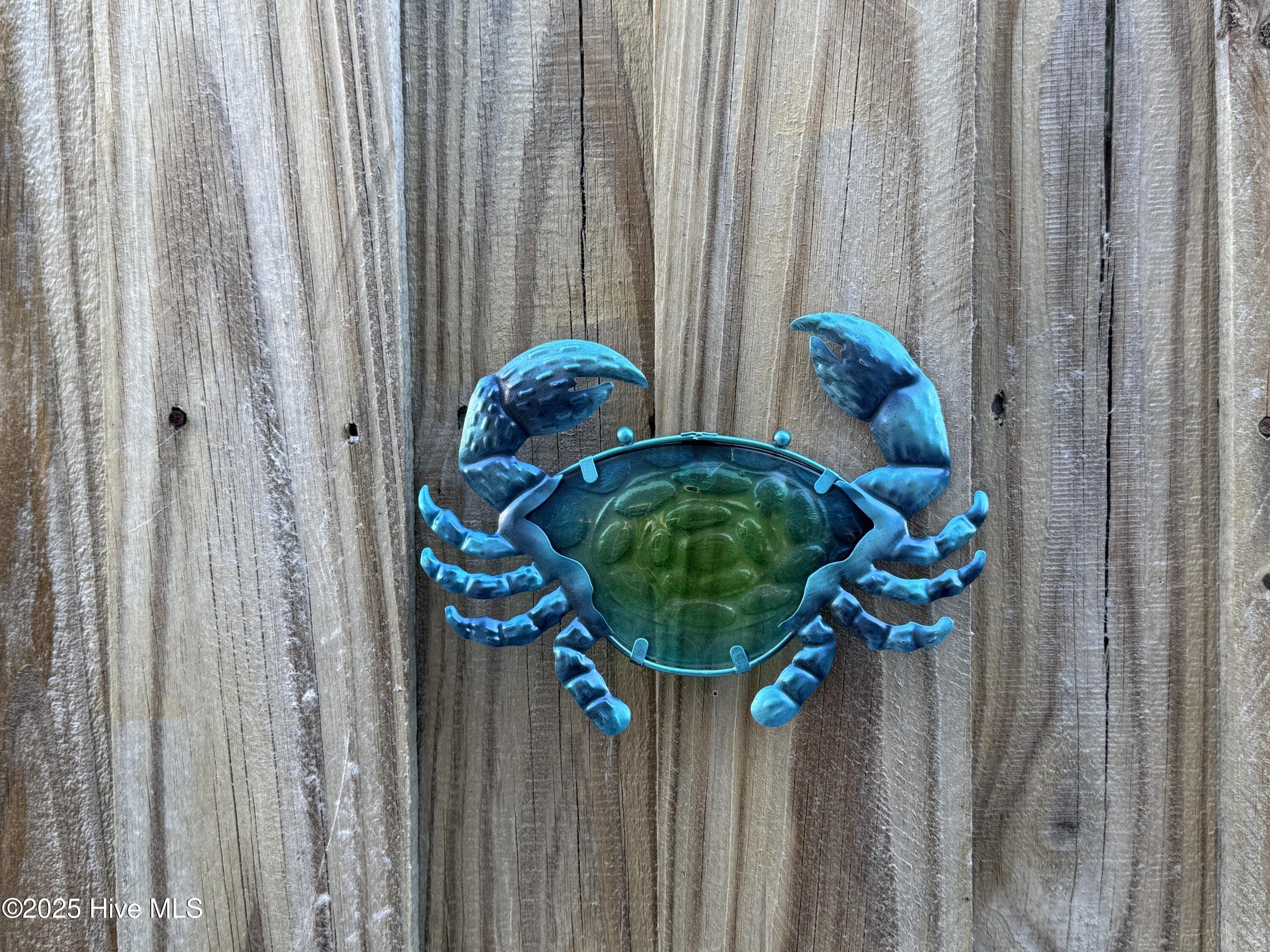 100538059 | Photo 29