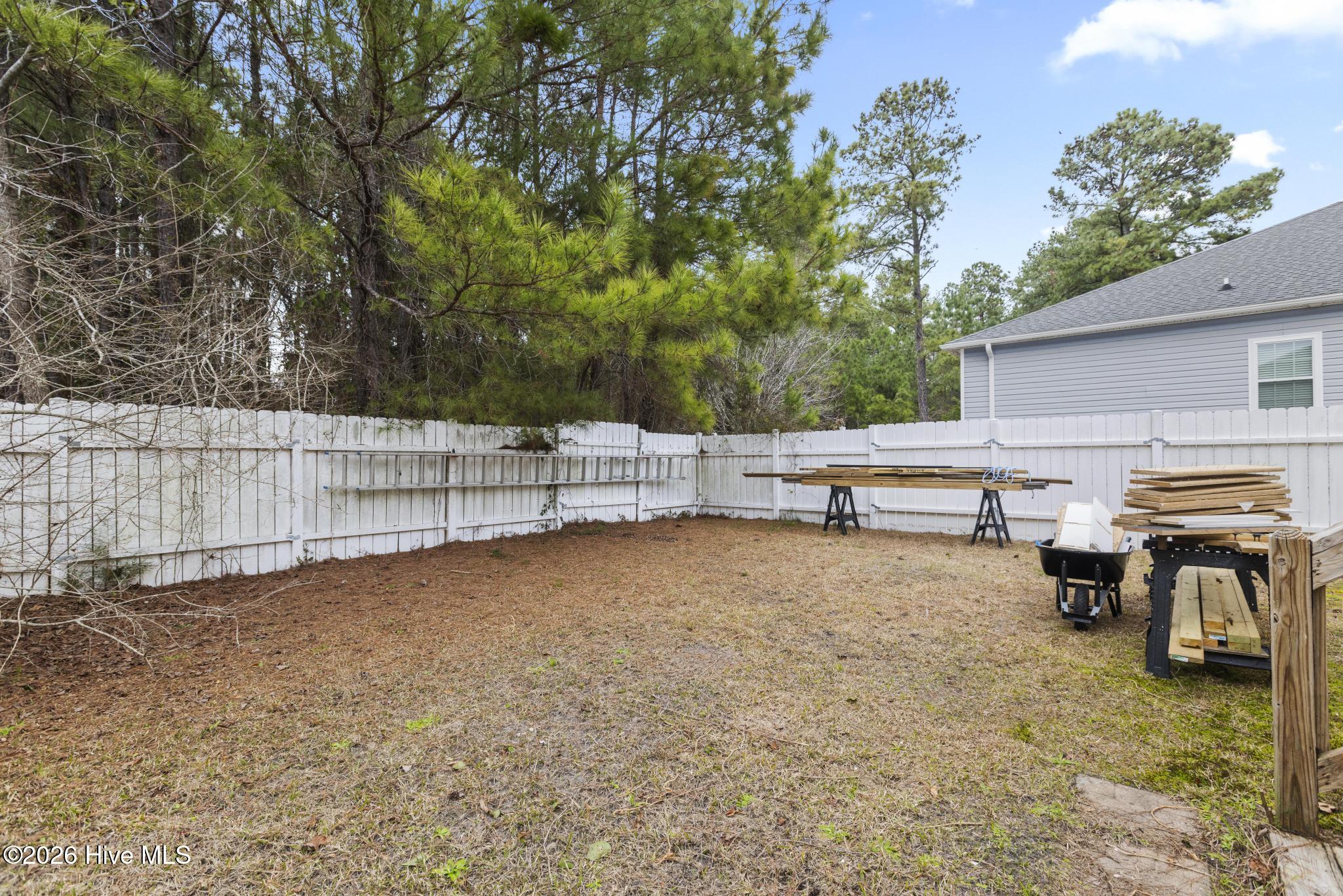 100556084 | Photo 40