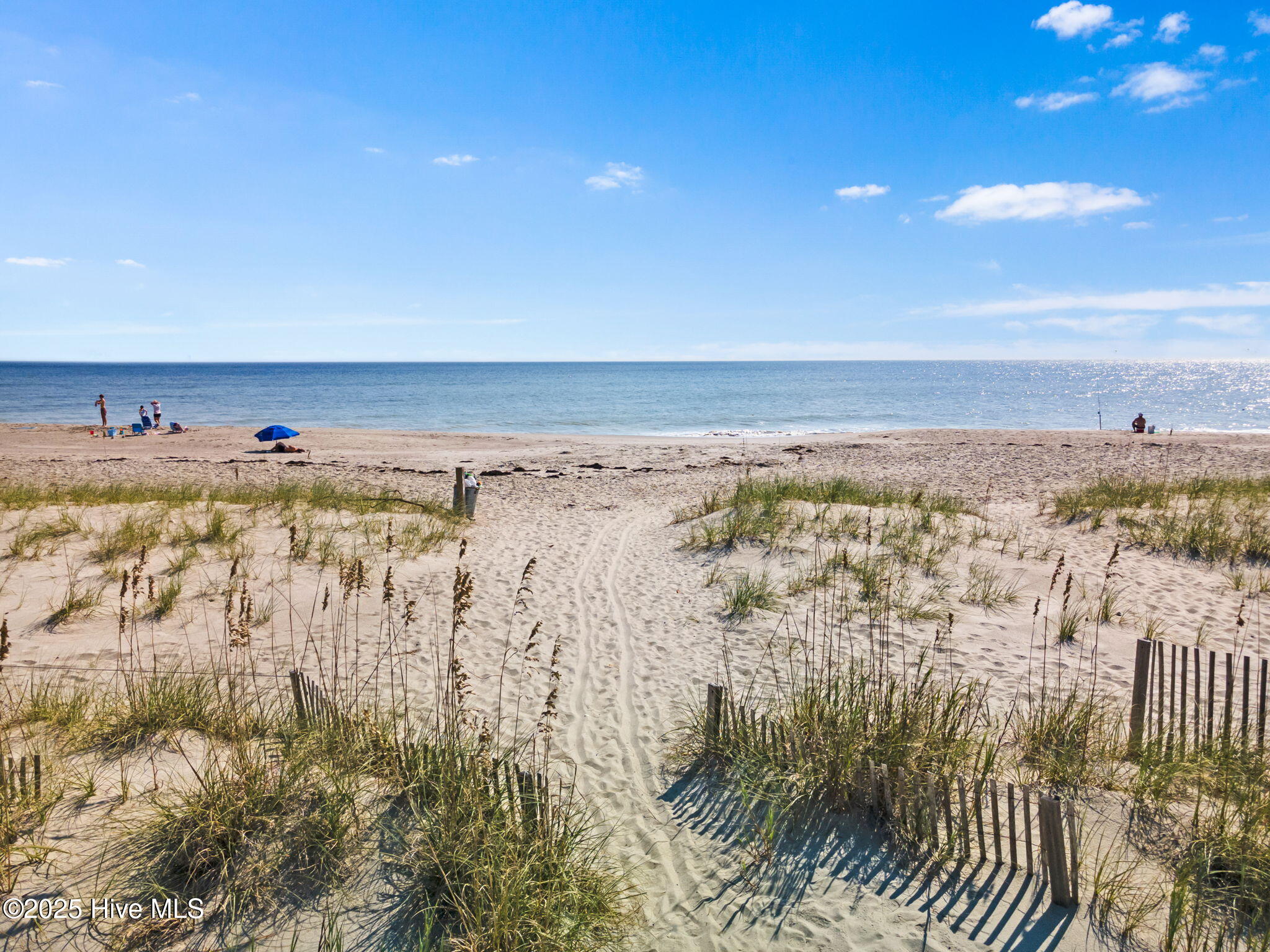 100541460 | Photo 80