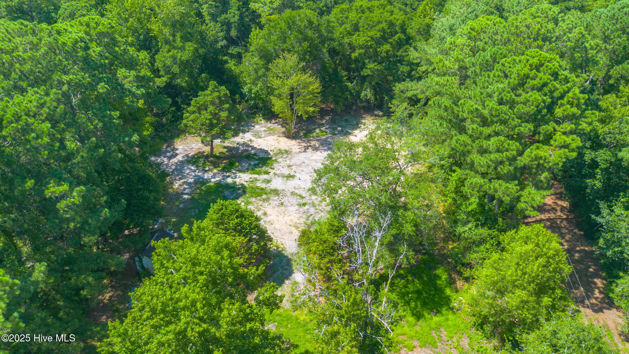 100518046 | Photo 10