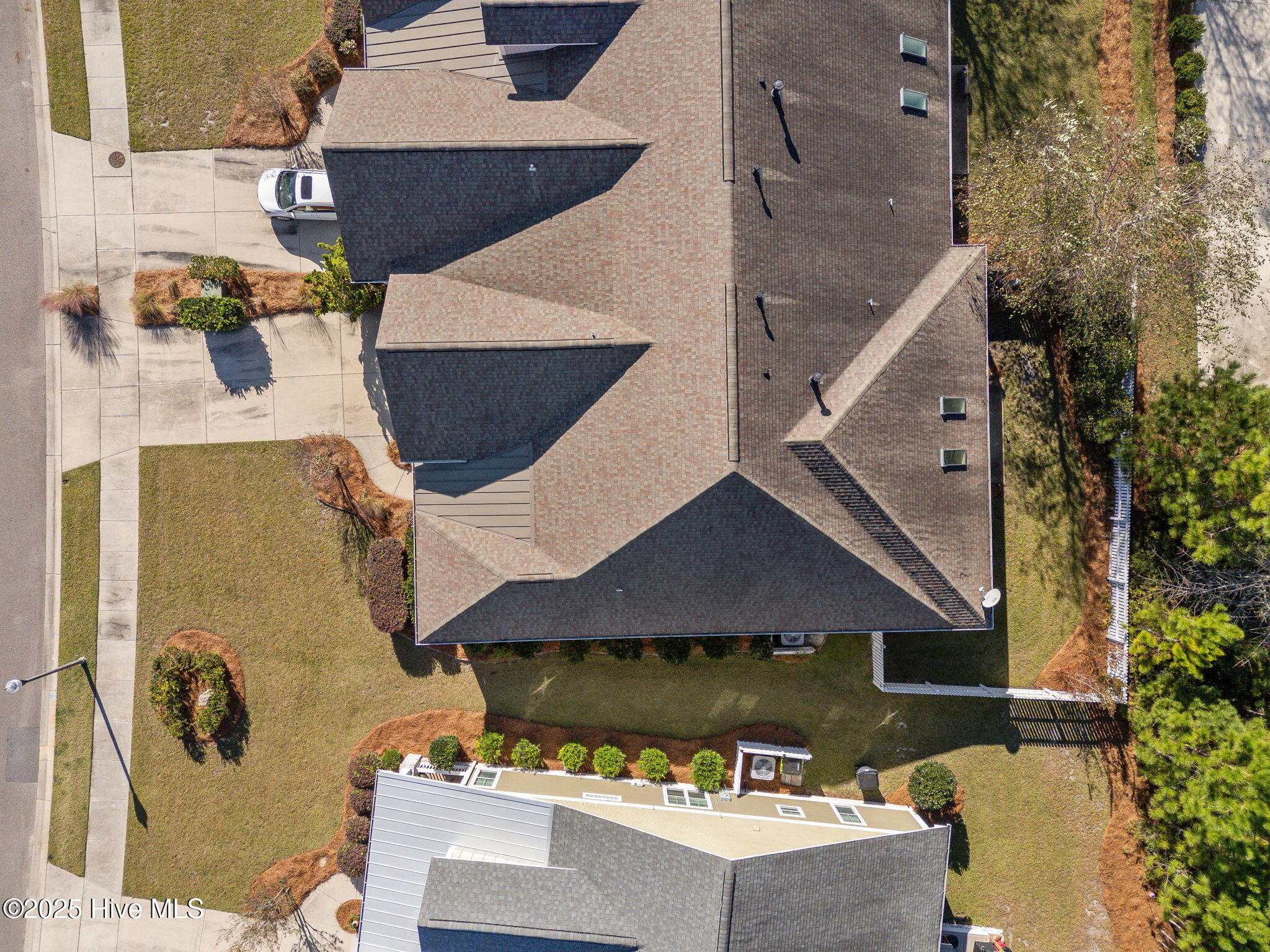 100538219 | Photo 35