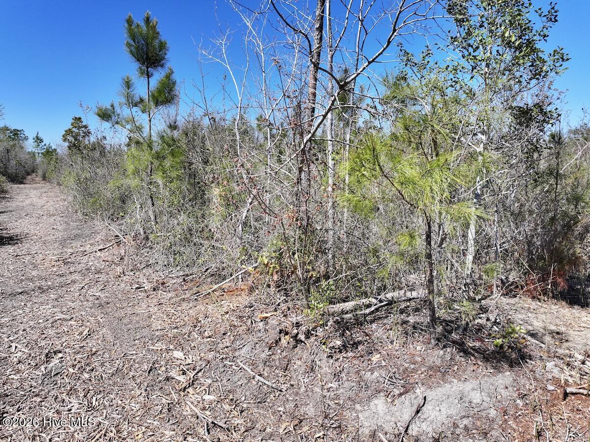 0 Guinea Mill Road, Ernul, NC, 28527