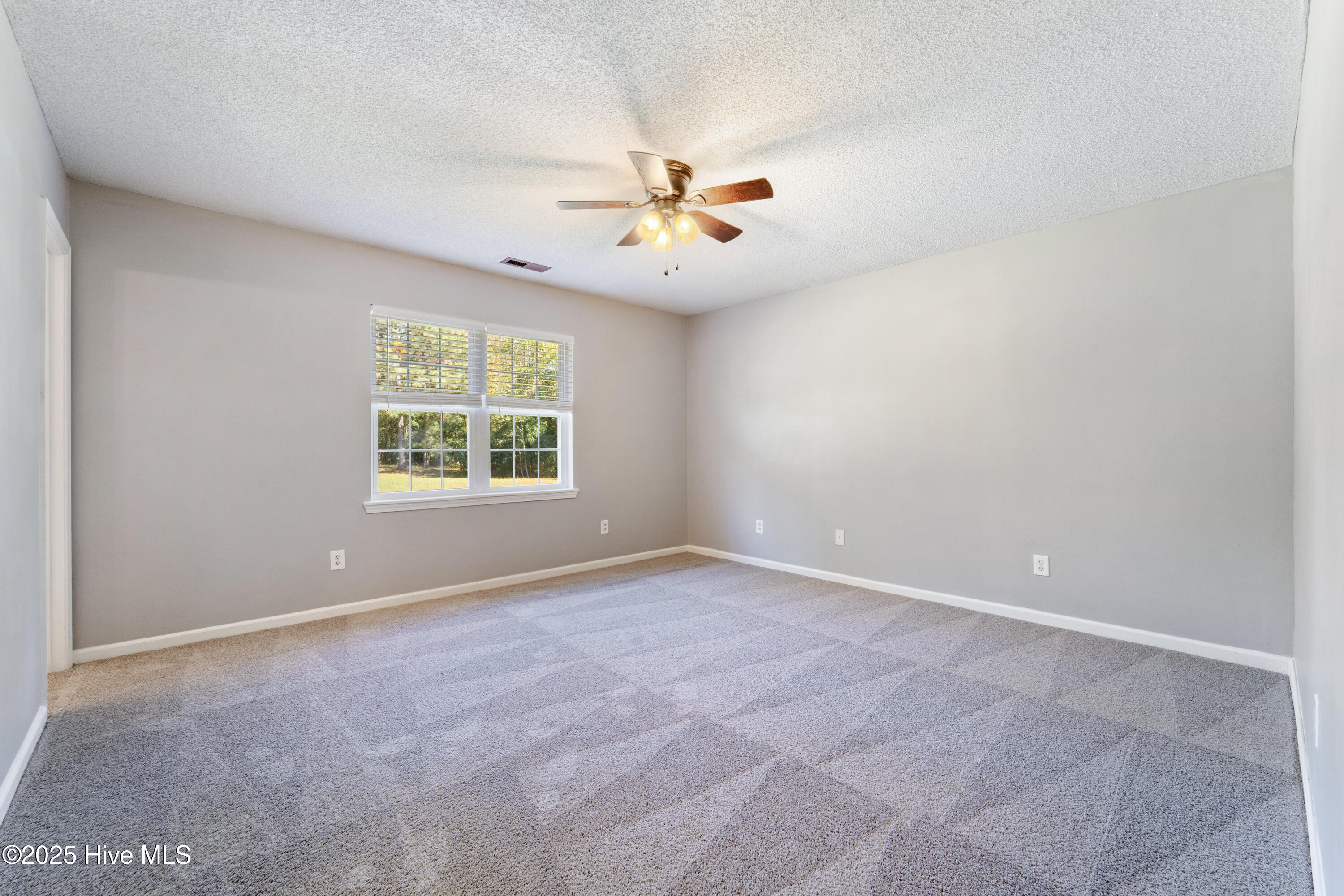 100538355 | Photo 12