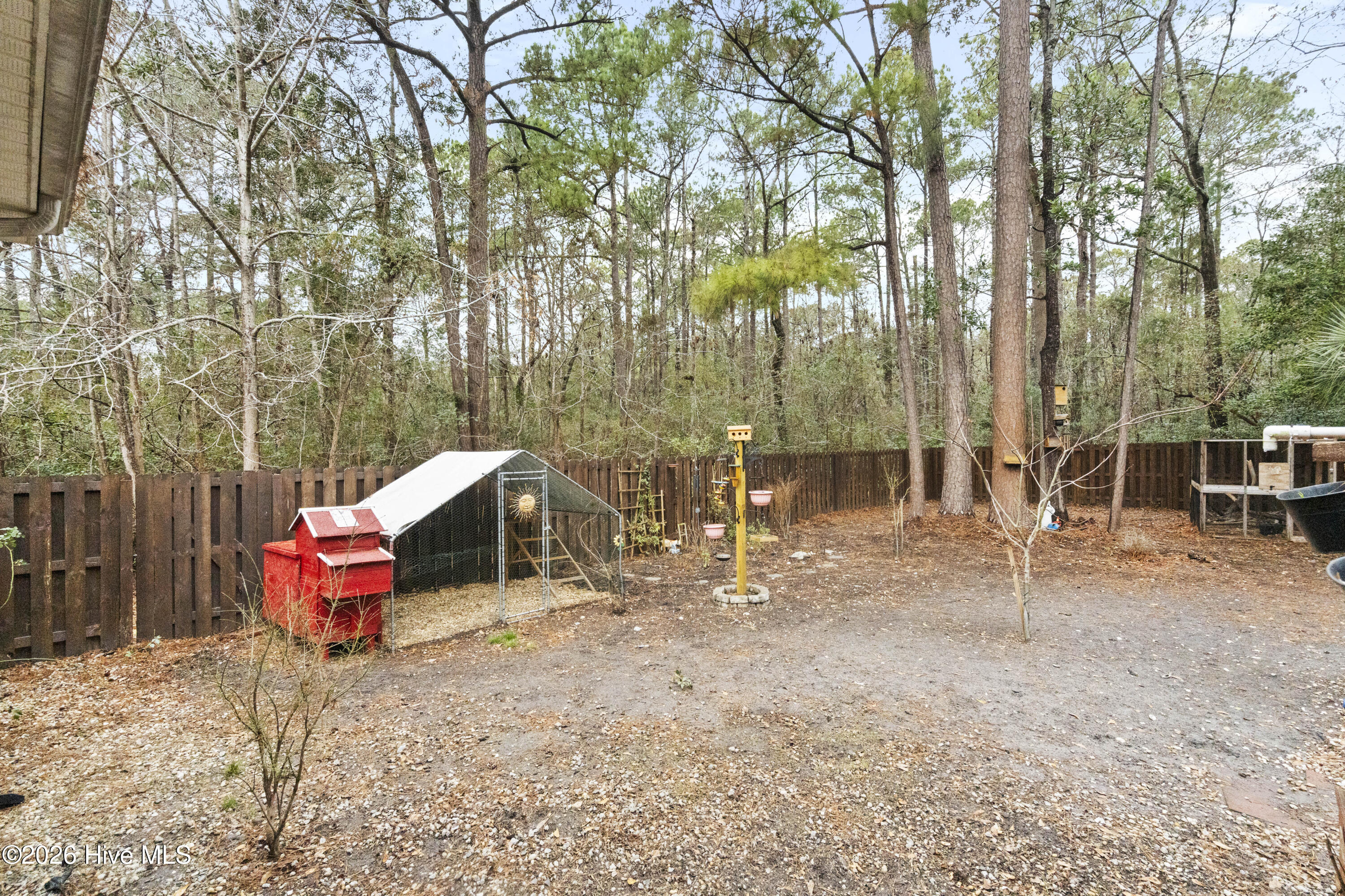 100551762 | Photo 41