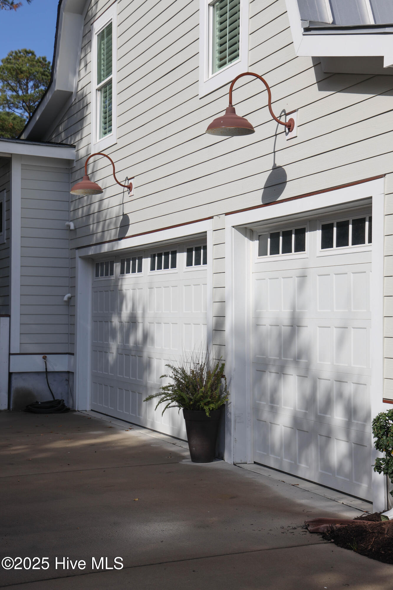 100556308 | Photo 109