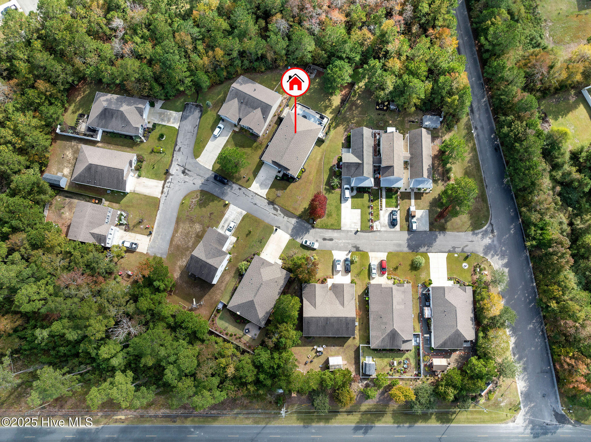 100539651 | Photo 56