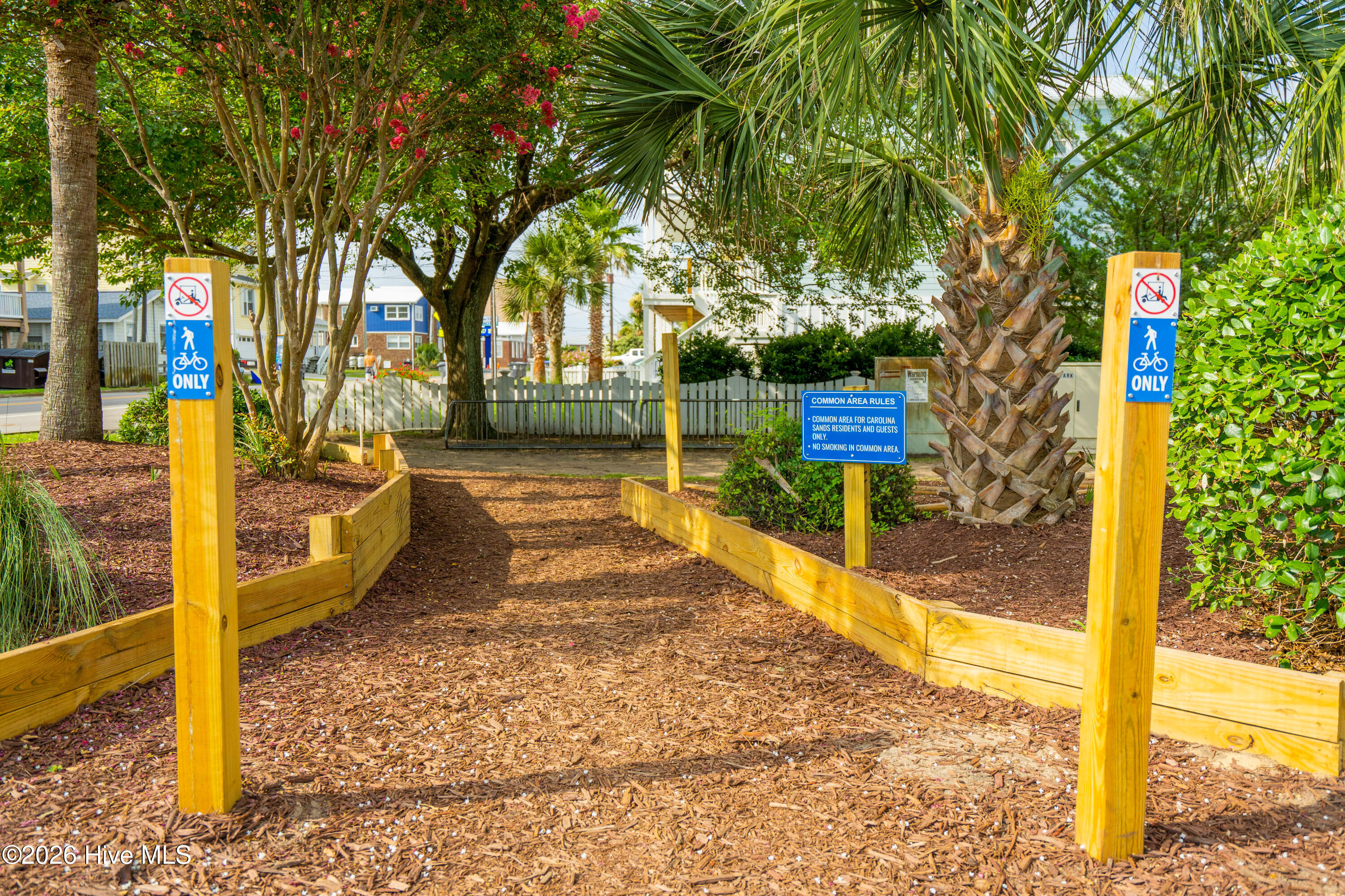 100566734 | Photo 51