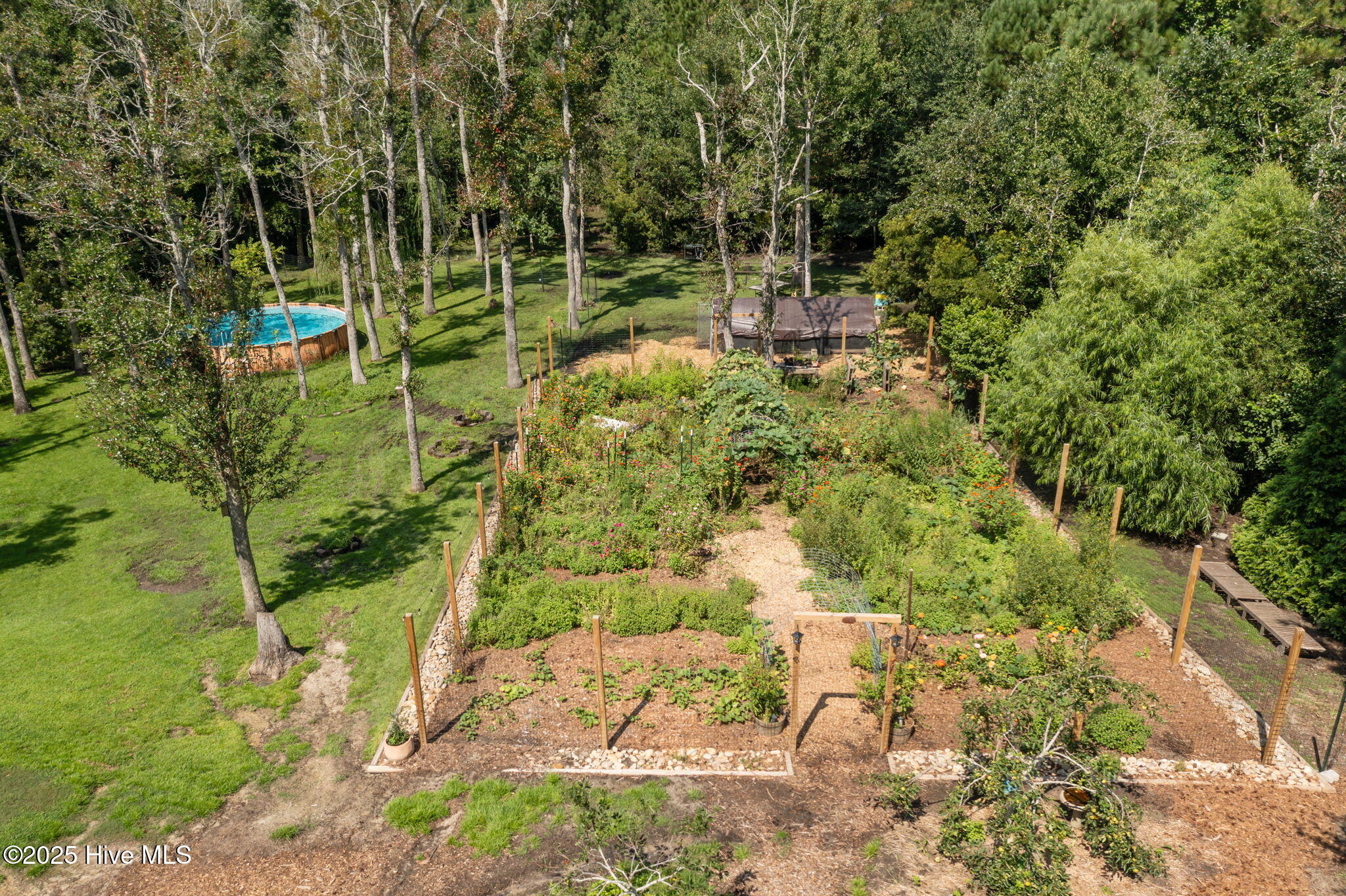 100525324 | Photo 30