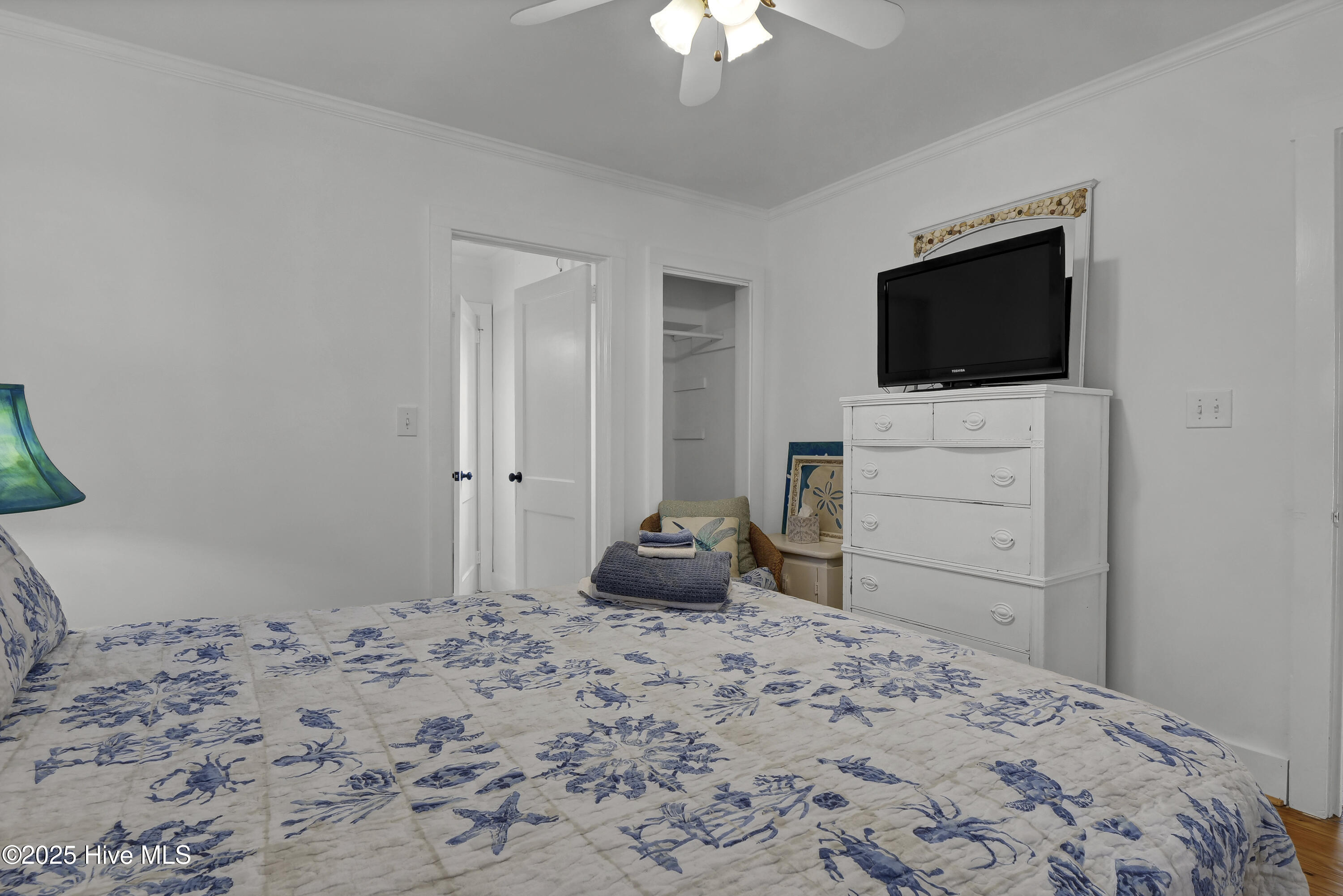 100537490 | Photo 33