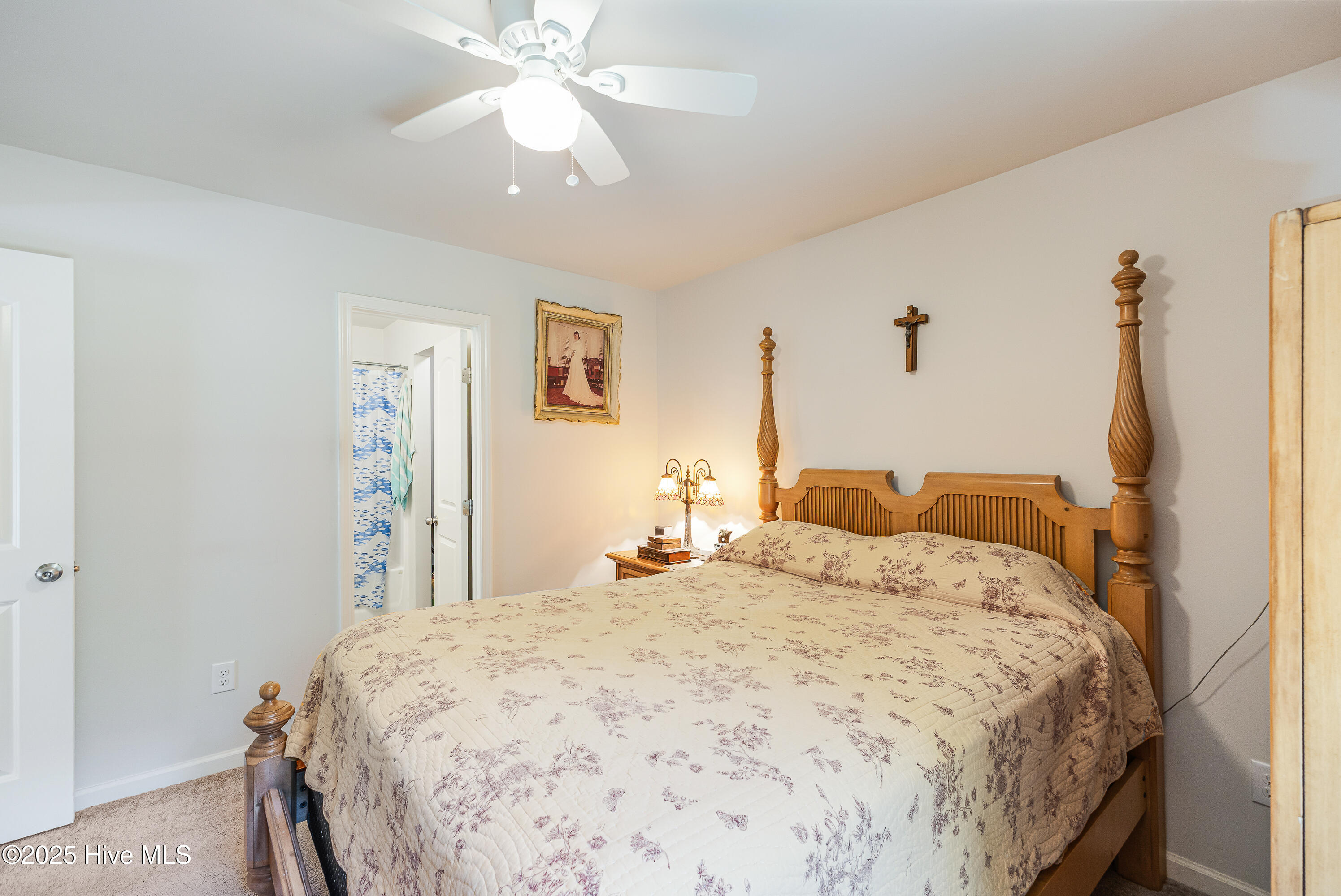 100537906 | Photo 19