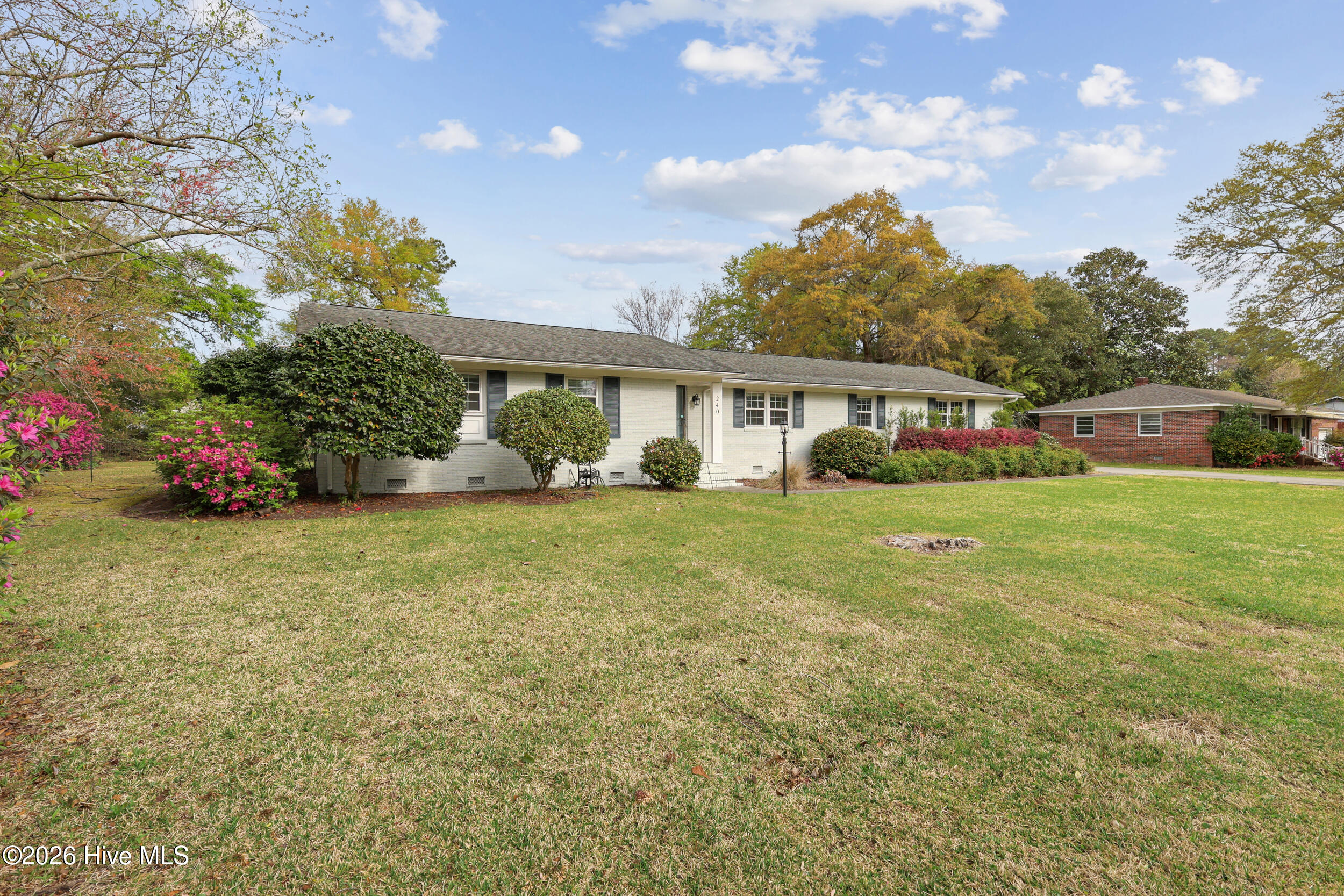 100564649 | Photo 28