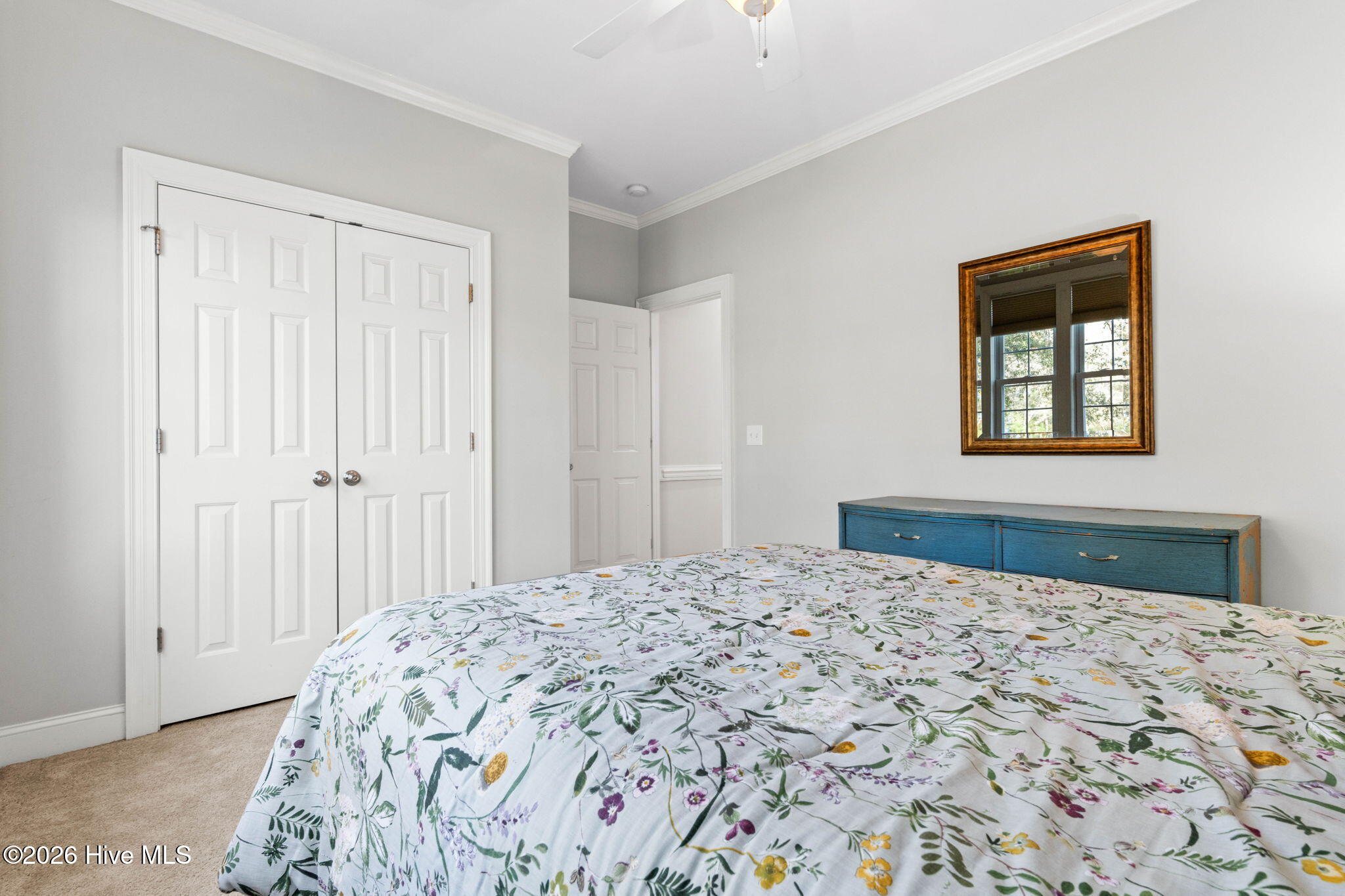 100560894 | Photo 22