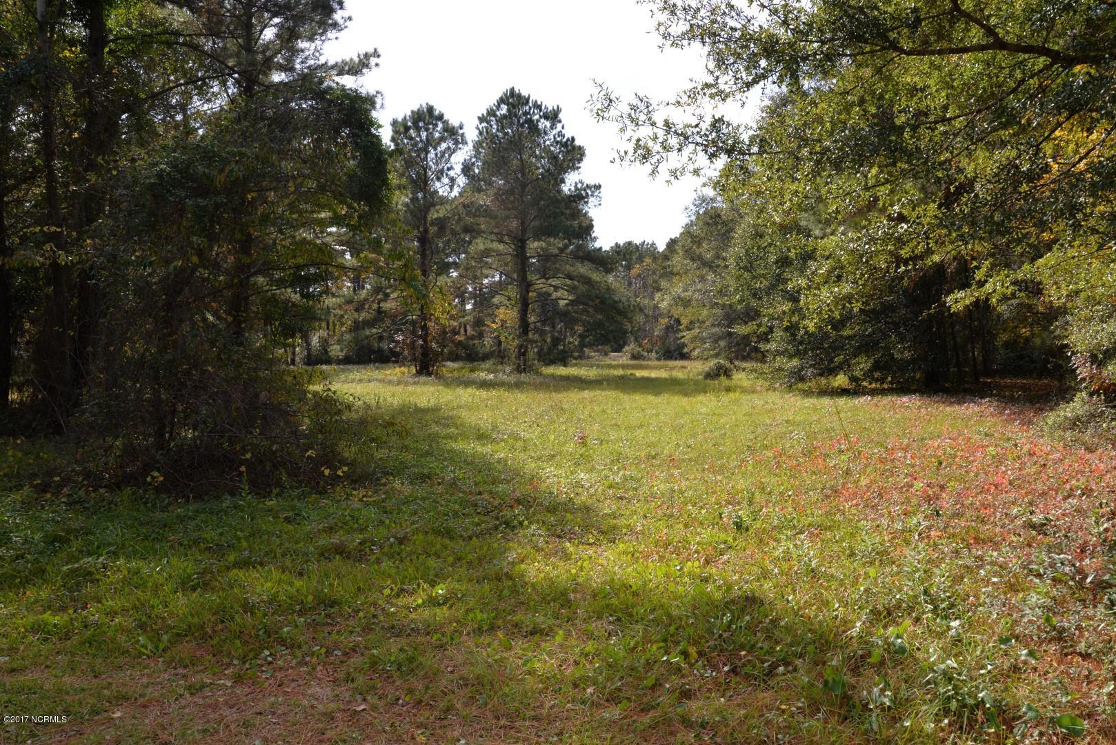 100492321 | Photo 21