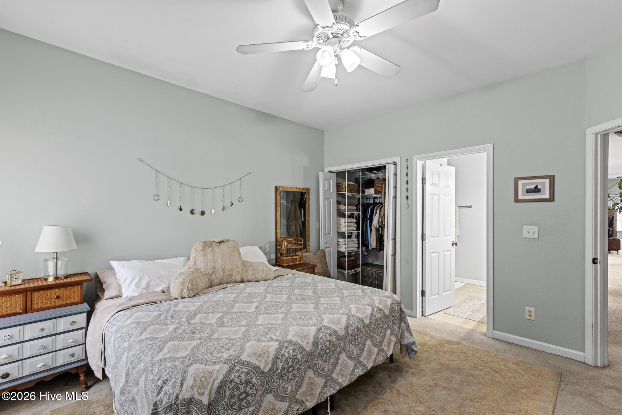 100556084 | Photo 13