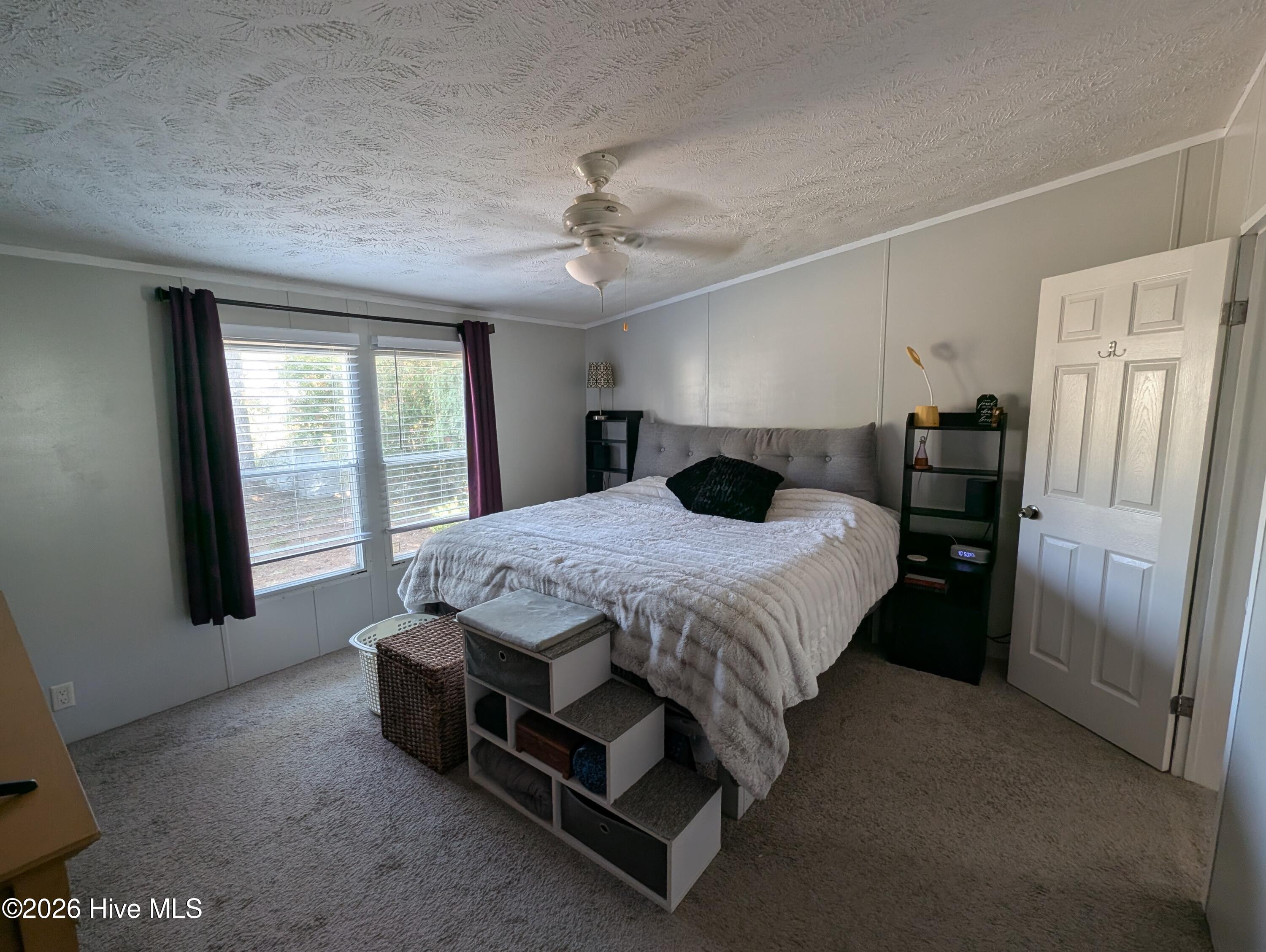 100556219 | Photo 32