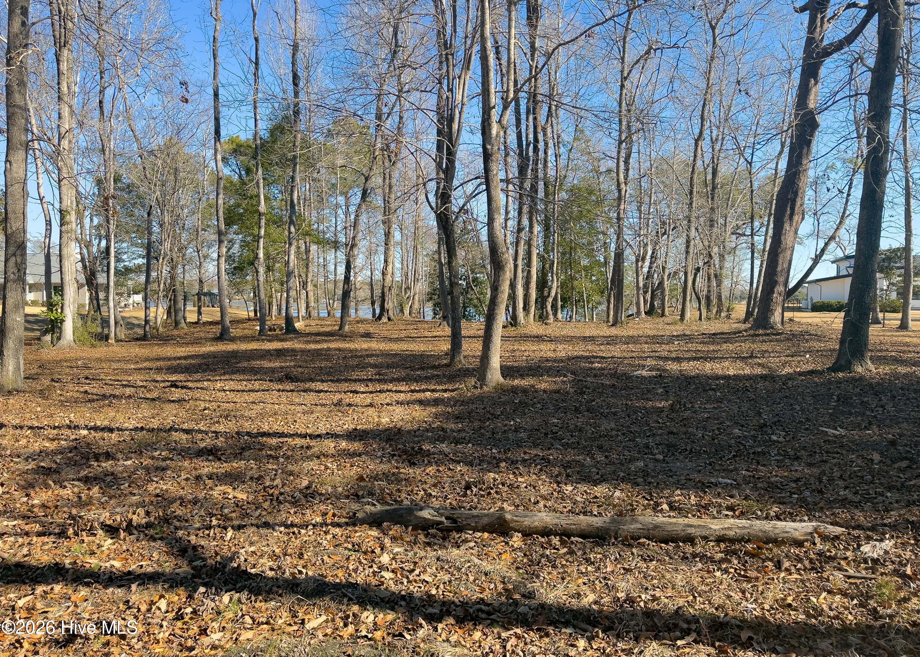 100551638 | Photo 32