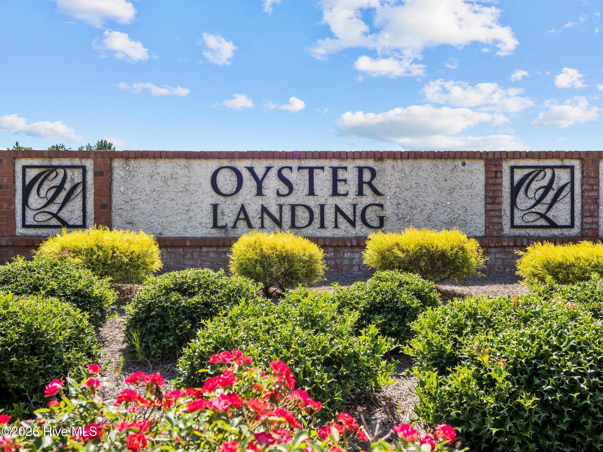 100557396 | Photo 47