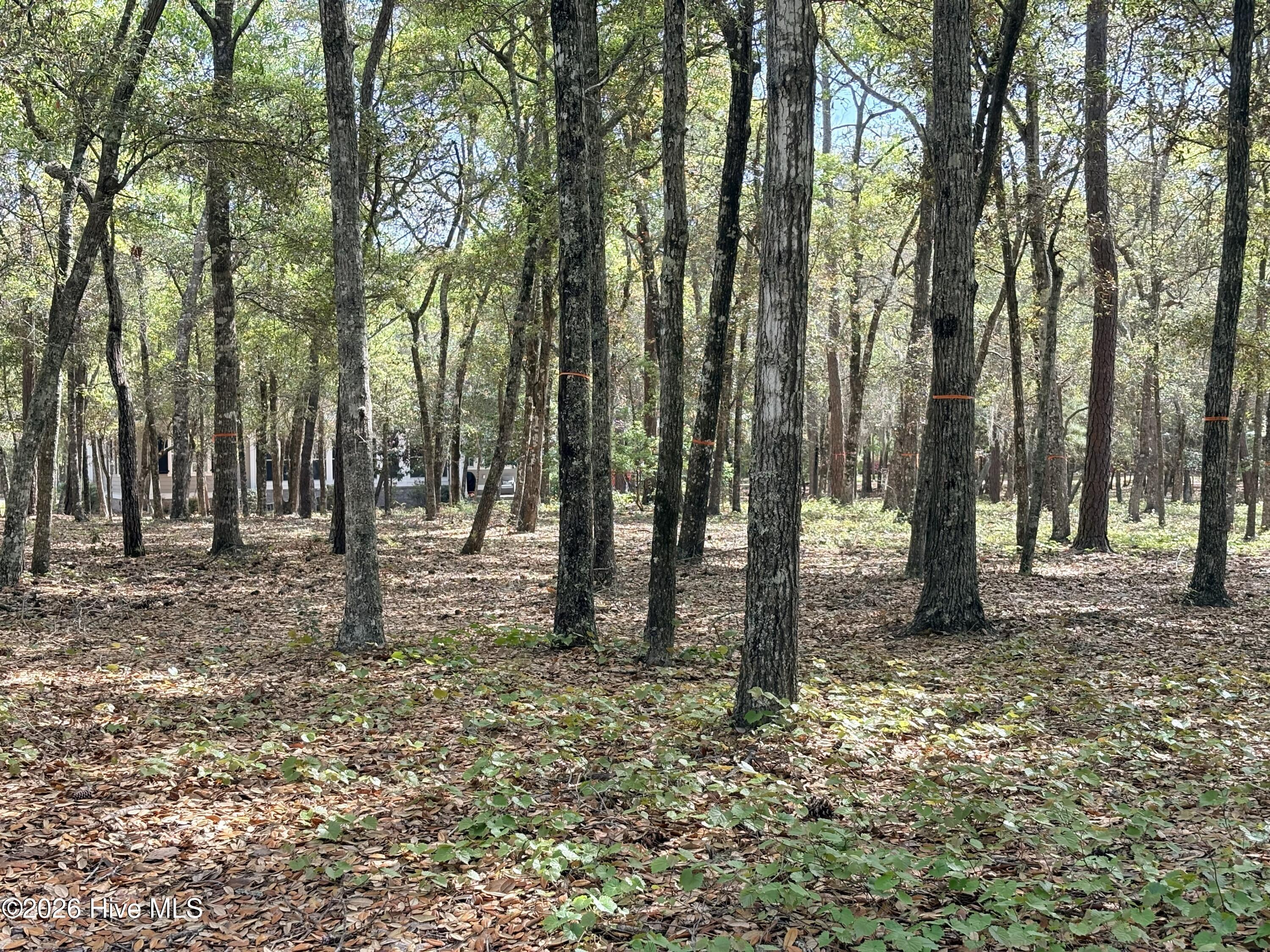 3456 Concordia Avenue SW, Supply, NC, 28462